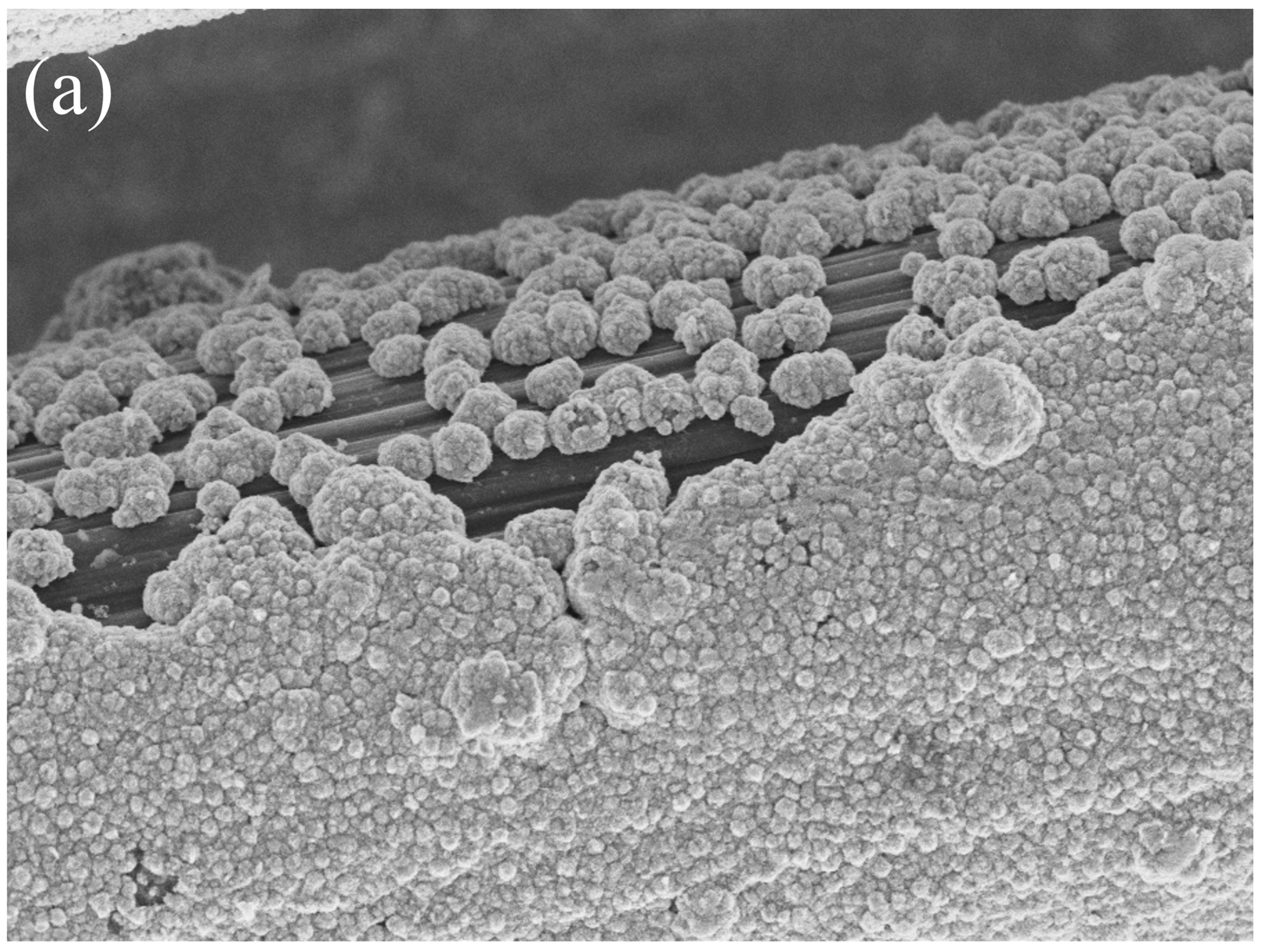 Catalysts 13 01468 g002a