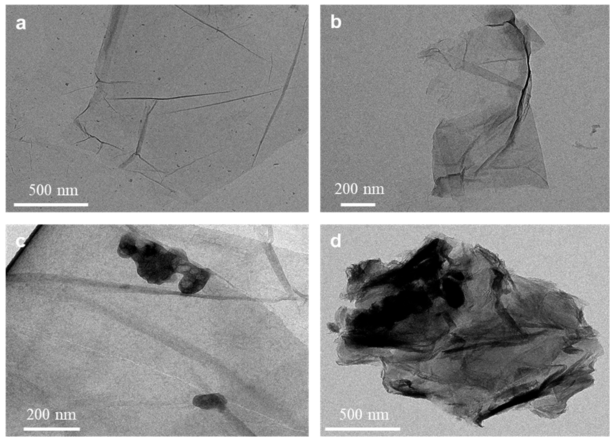 Catalysts 13 01469 g001