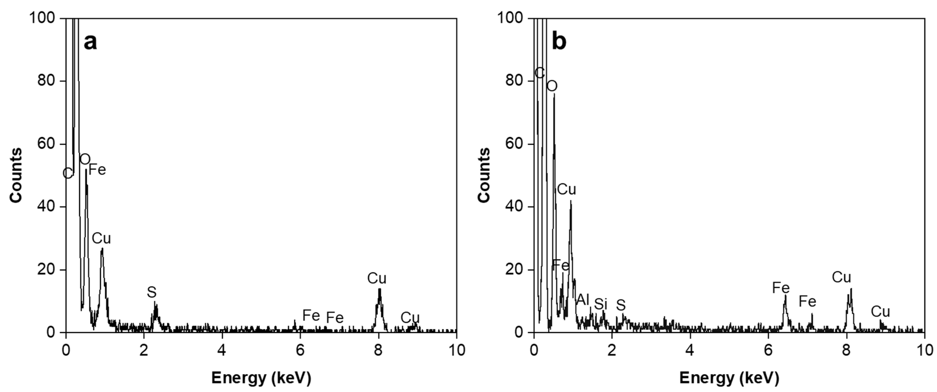 Catalysts 13 01469 g002