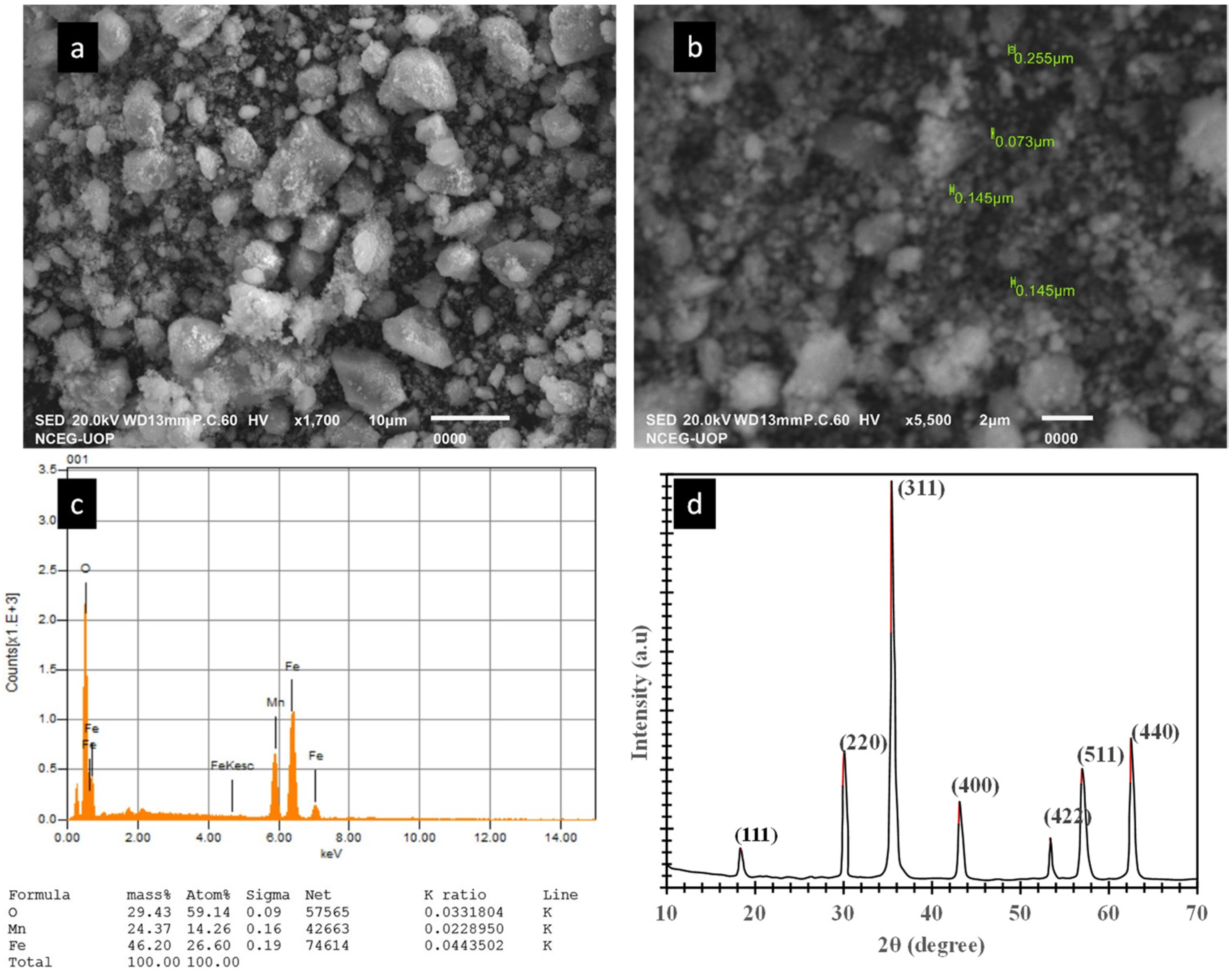 Catalysts 13 01473 g001