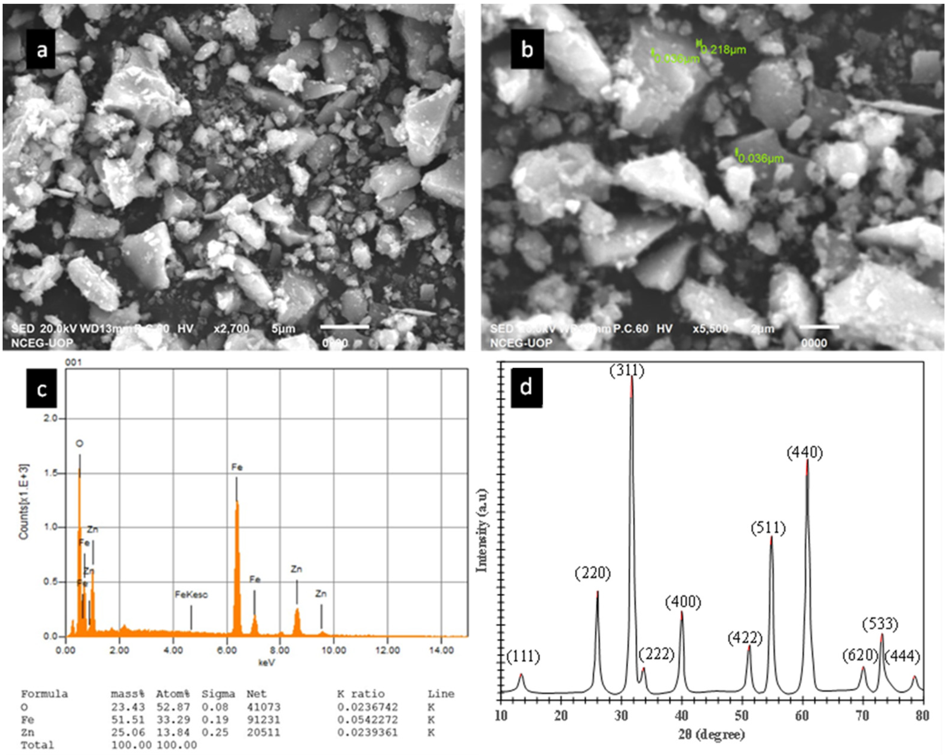 Catalysts 13 01473 g002