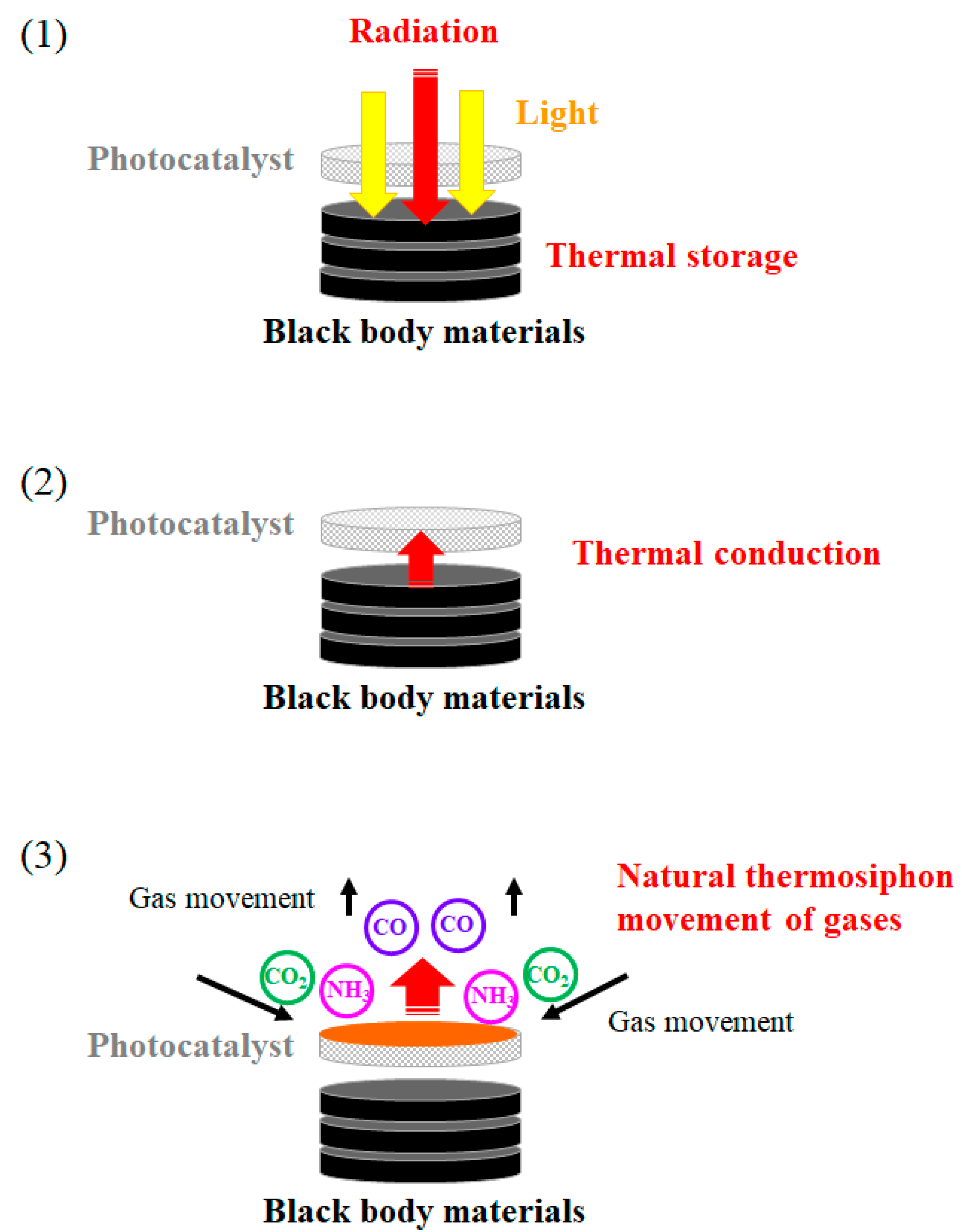 Catalysts 13 01477 g001