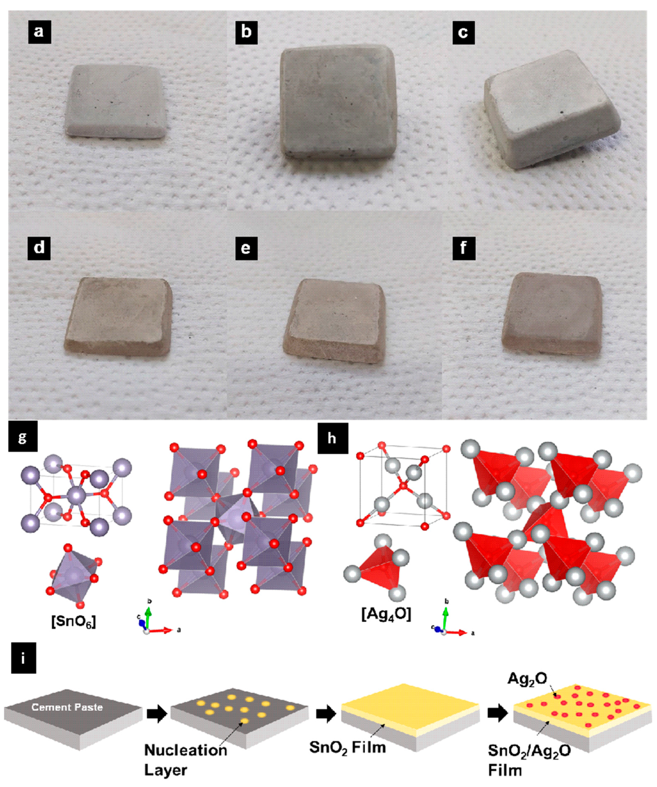 Catalysts 13 01479 g001