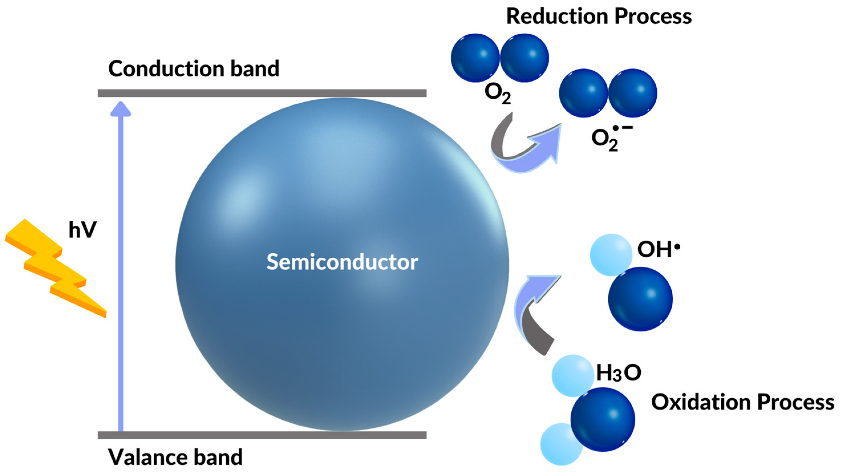 Catalysts 13 01480 g002