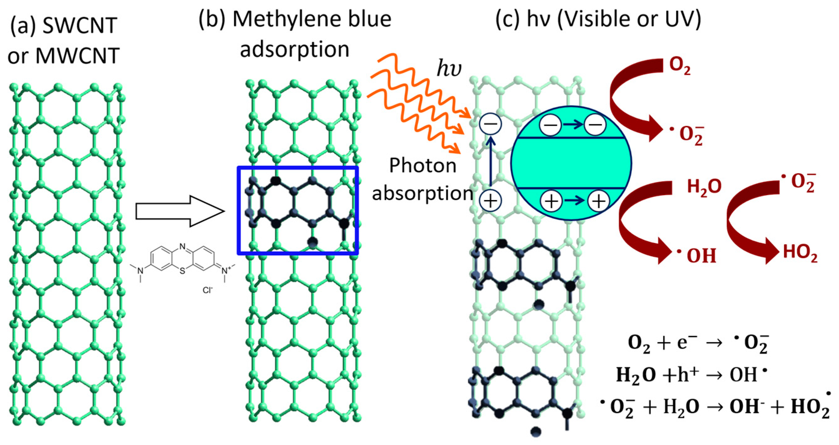 Catalysts 13 01480 g003