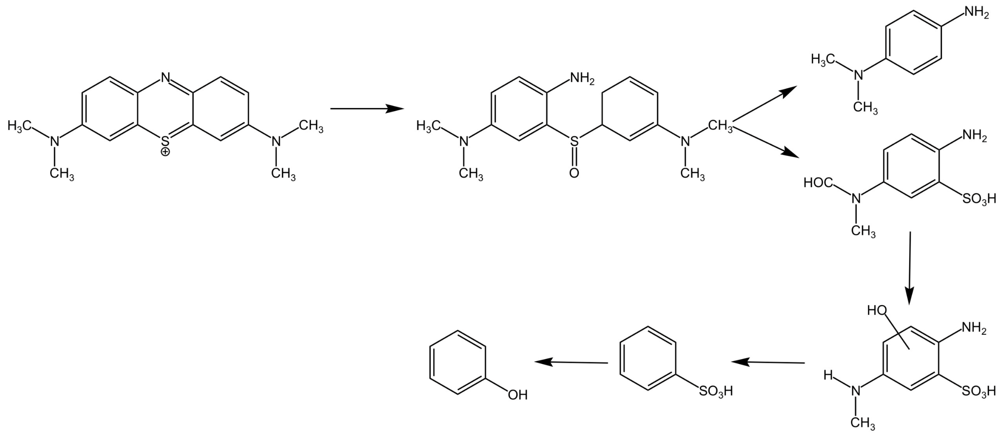 Catalysts 13 01480 g004