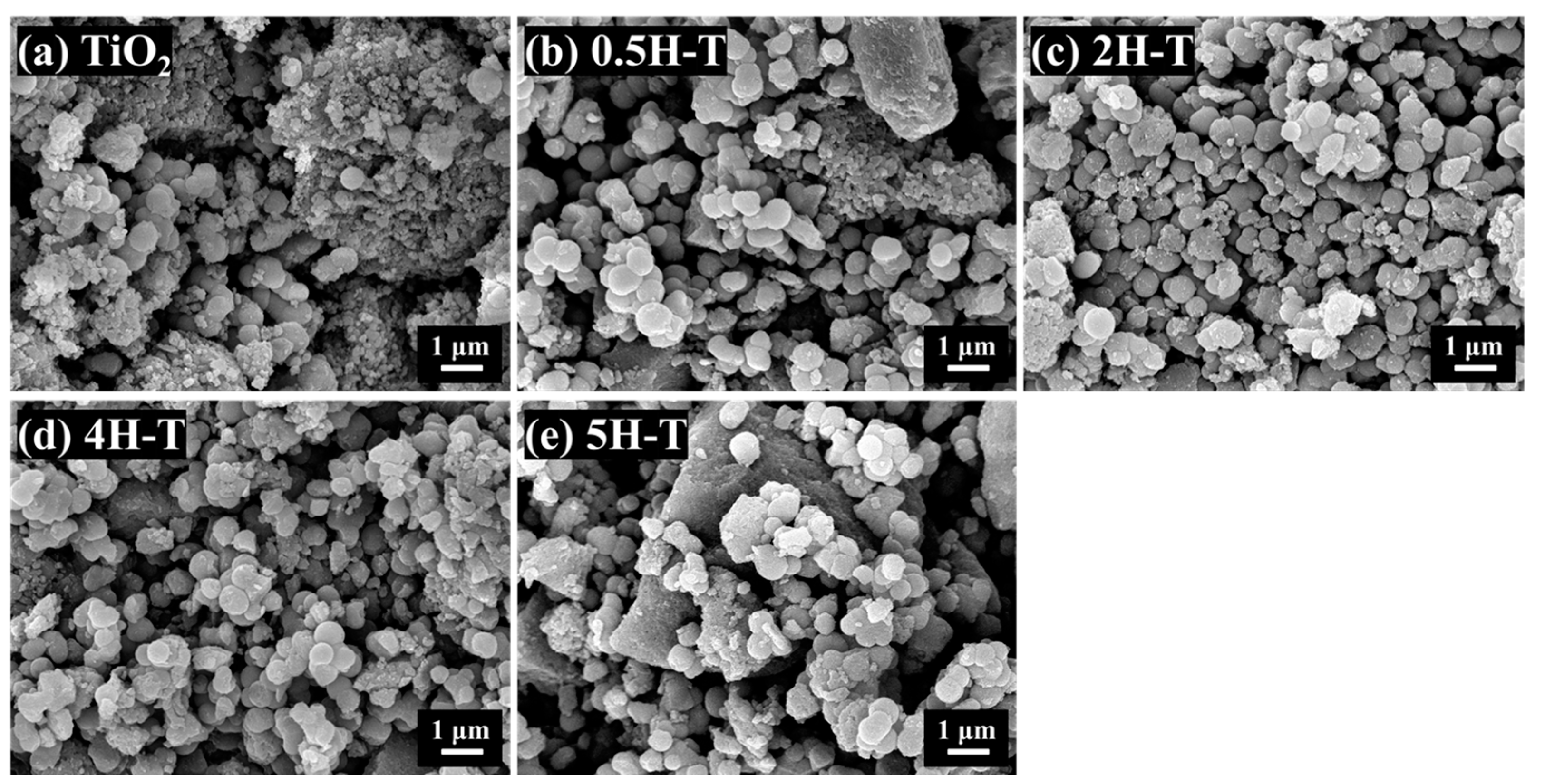 Catalysts 13 01481 g001