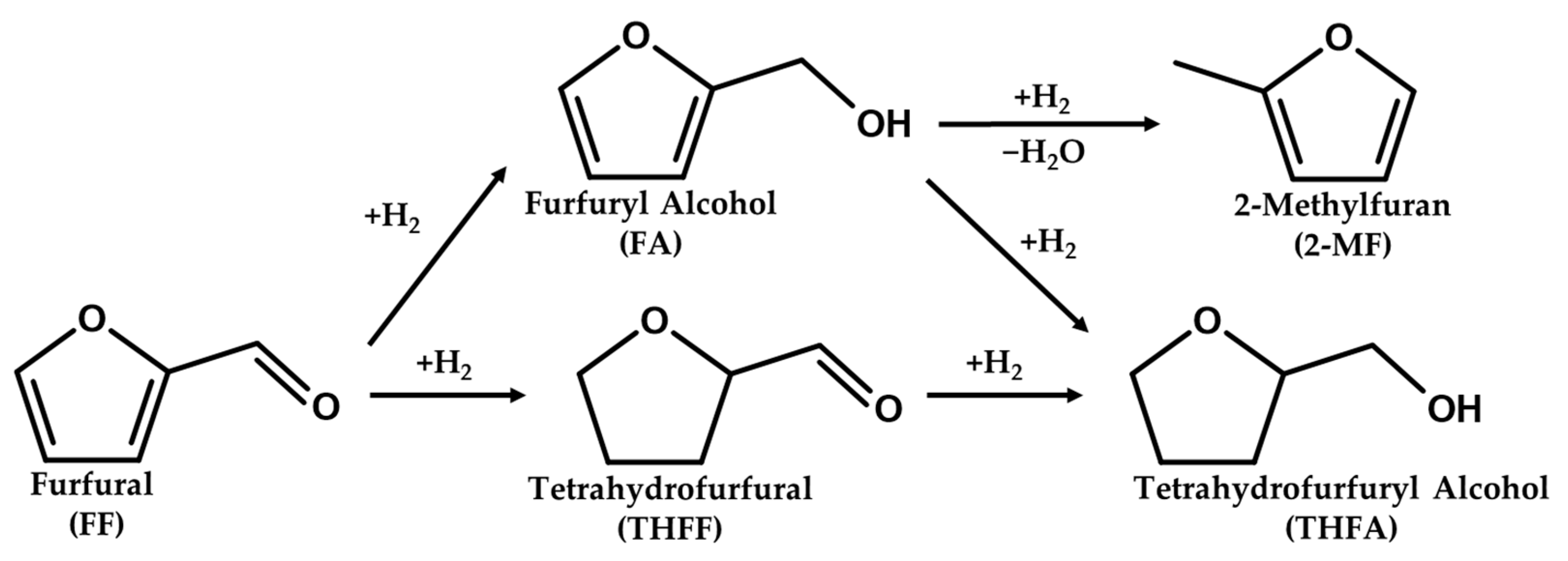 Catalysts 13 01481 g010