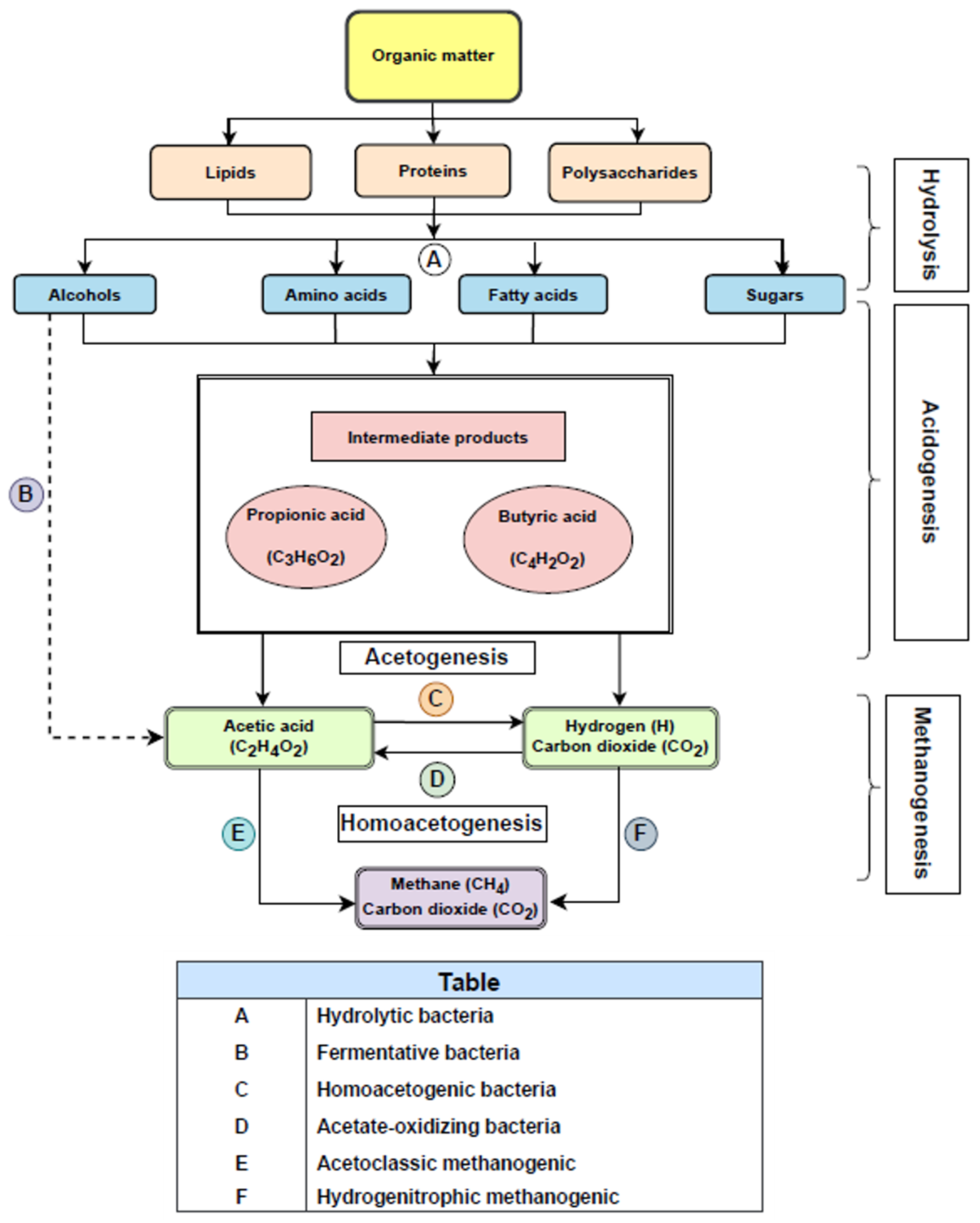 Catalysts 13 01482 g001