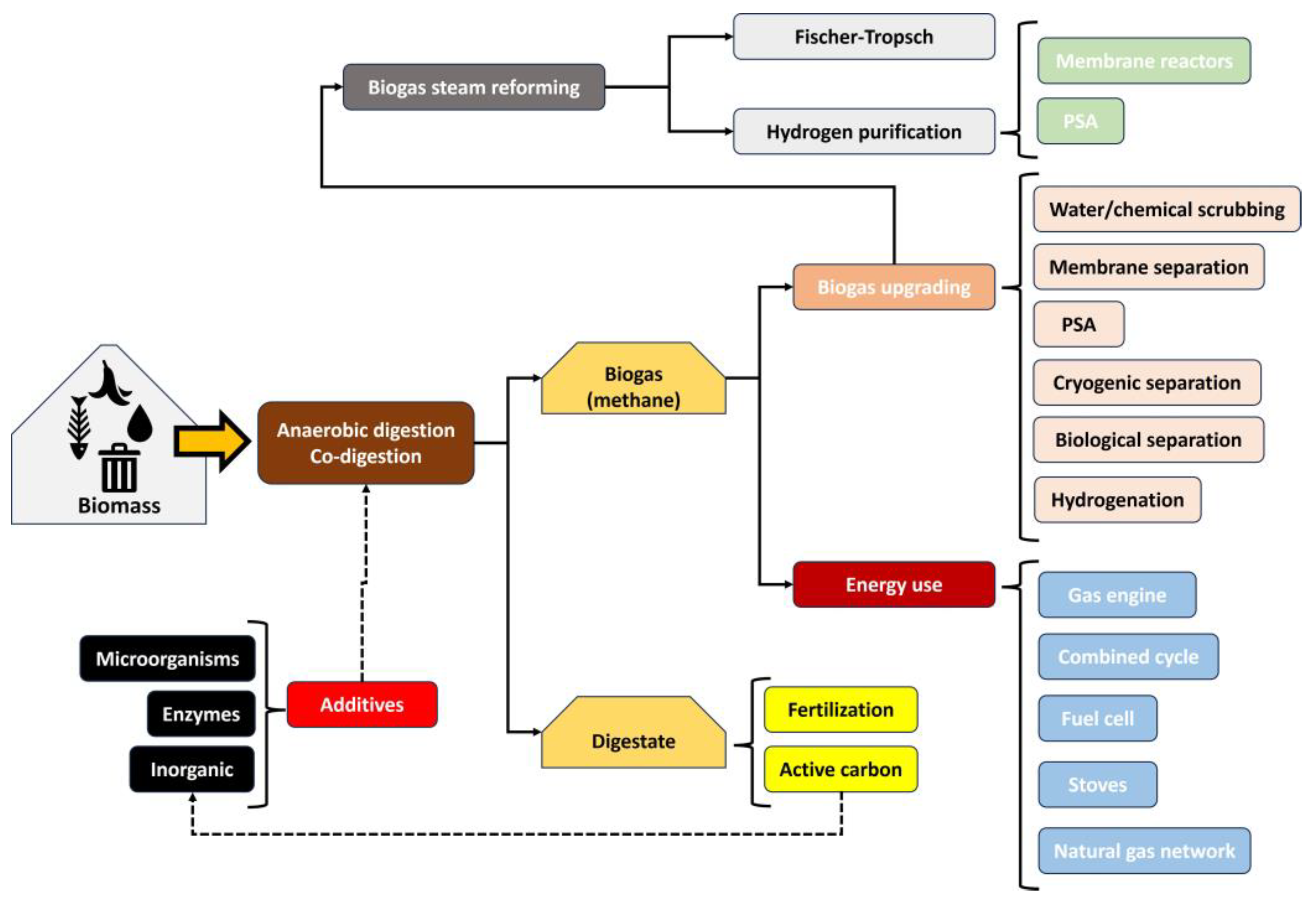 Catalysts 13 01482 g002