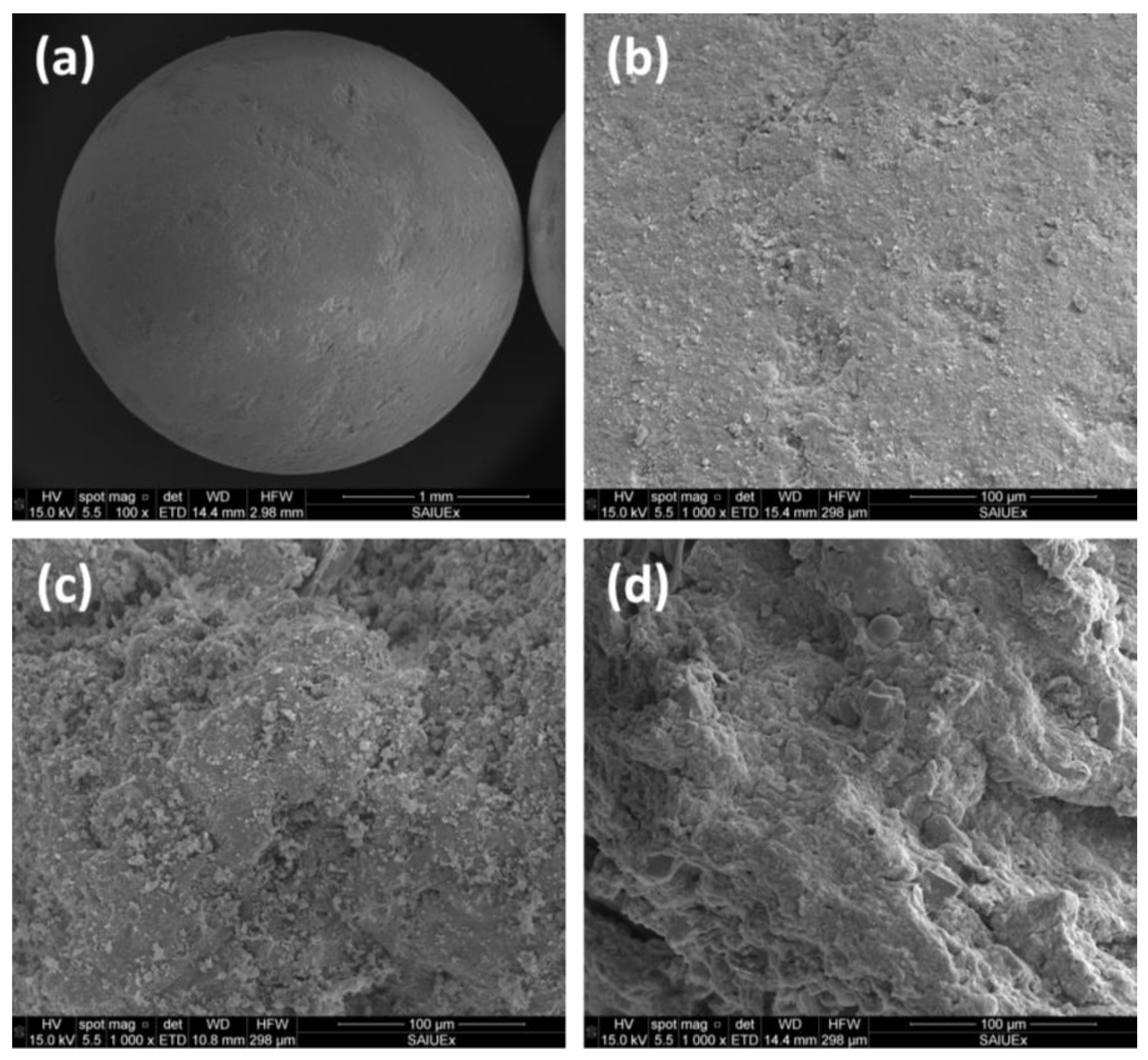 Catalysts 13 01482 g009