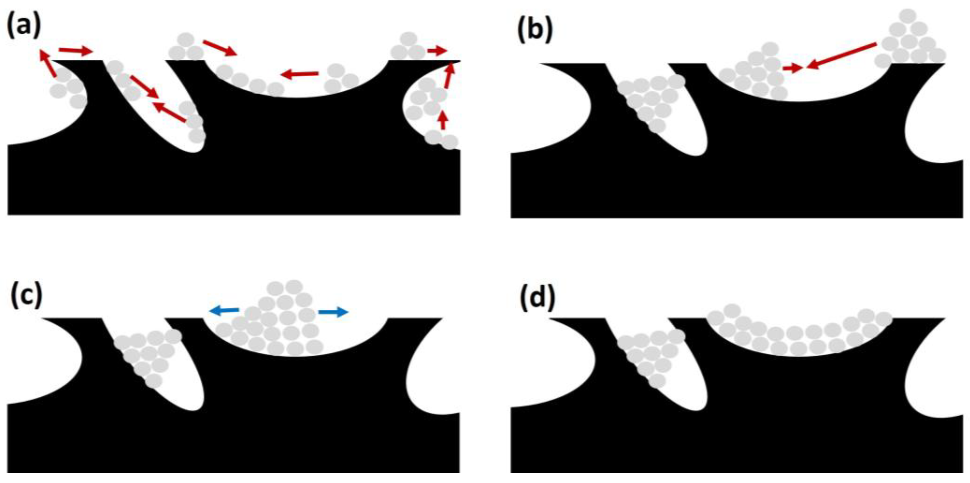 Catalysts 13 01482 g011