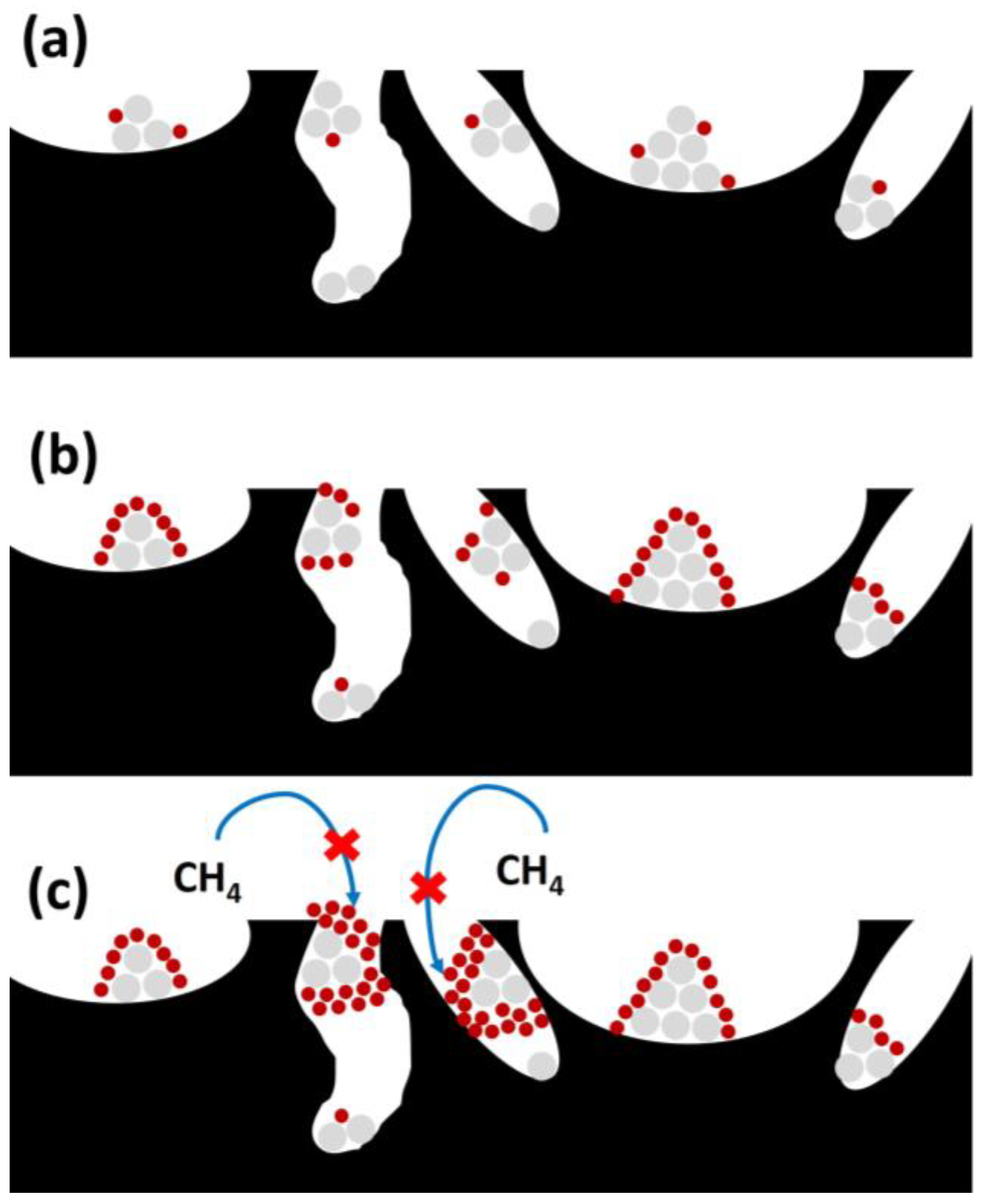 Catalysts 13 01482 g012