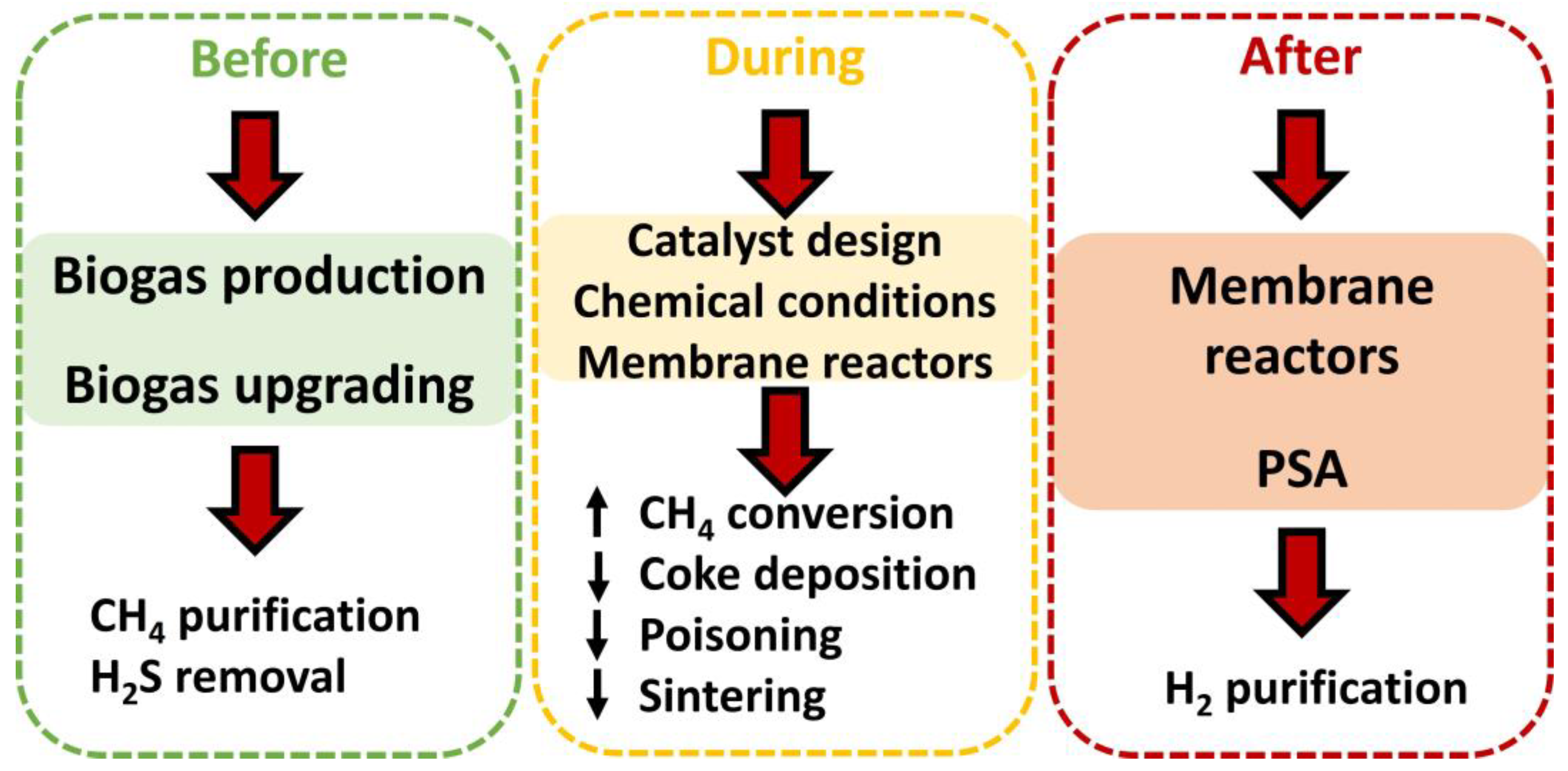 Catalysts 13 01482 g013