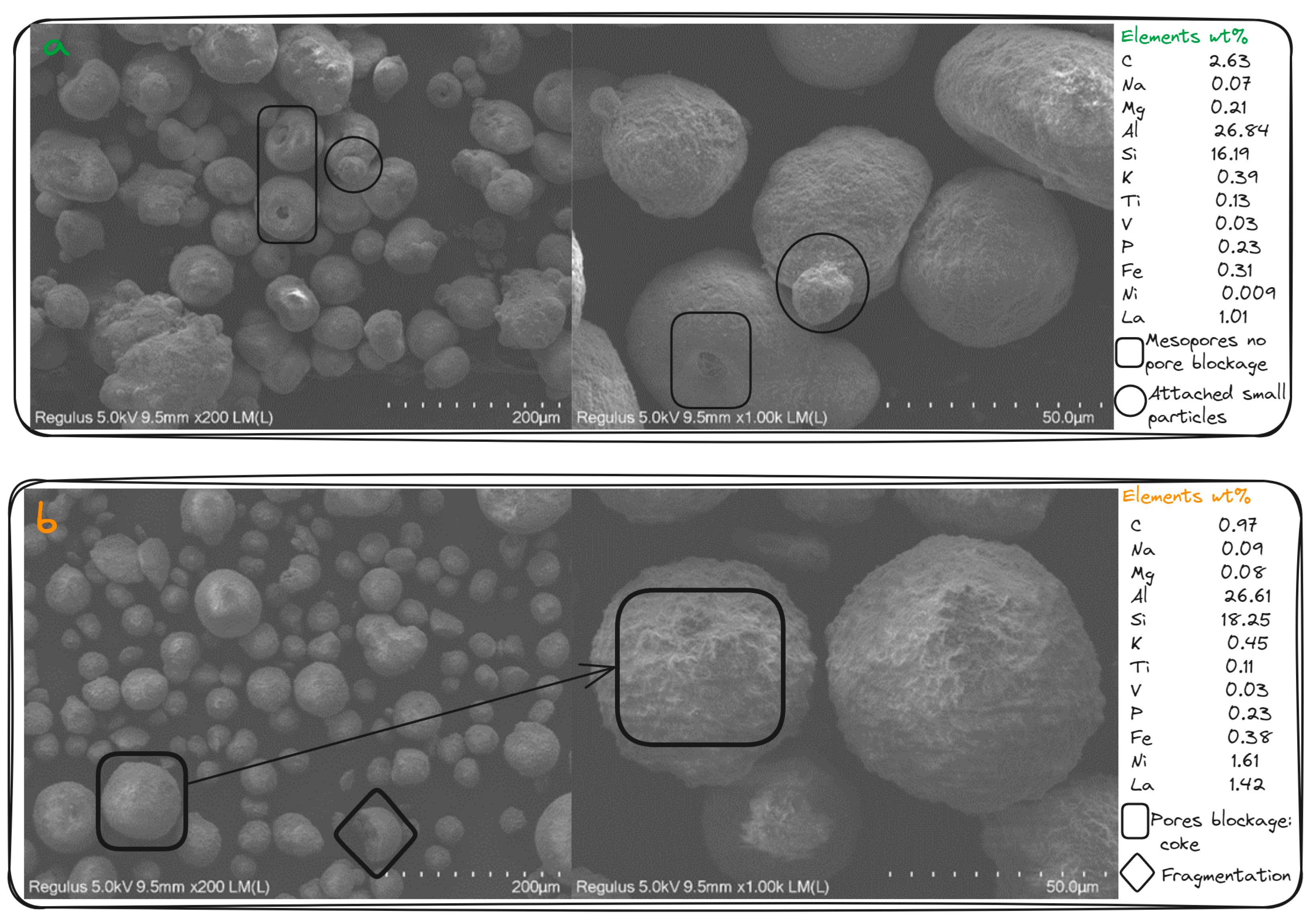 Catalysts 13 01483 g006a Catalysts 13 01483 g006a