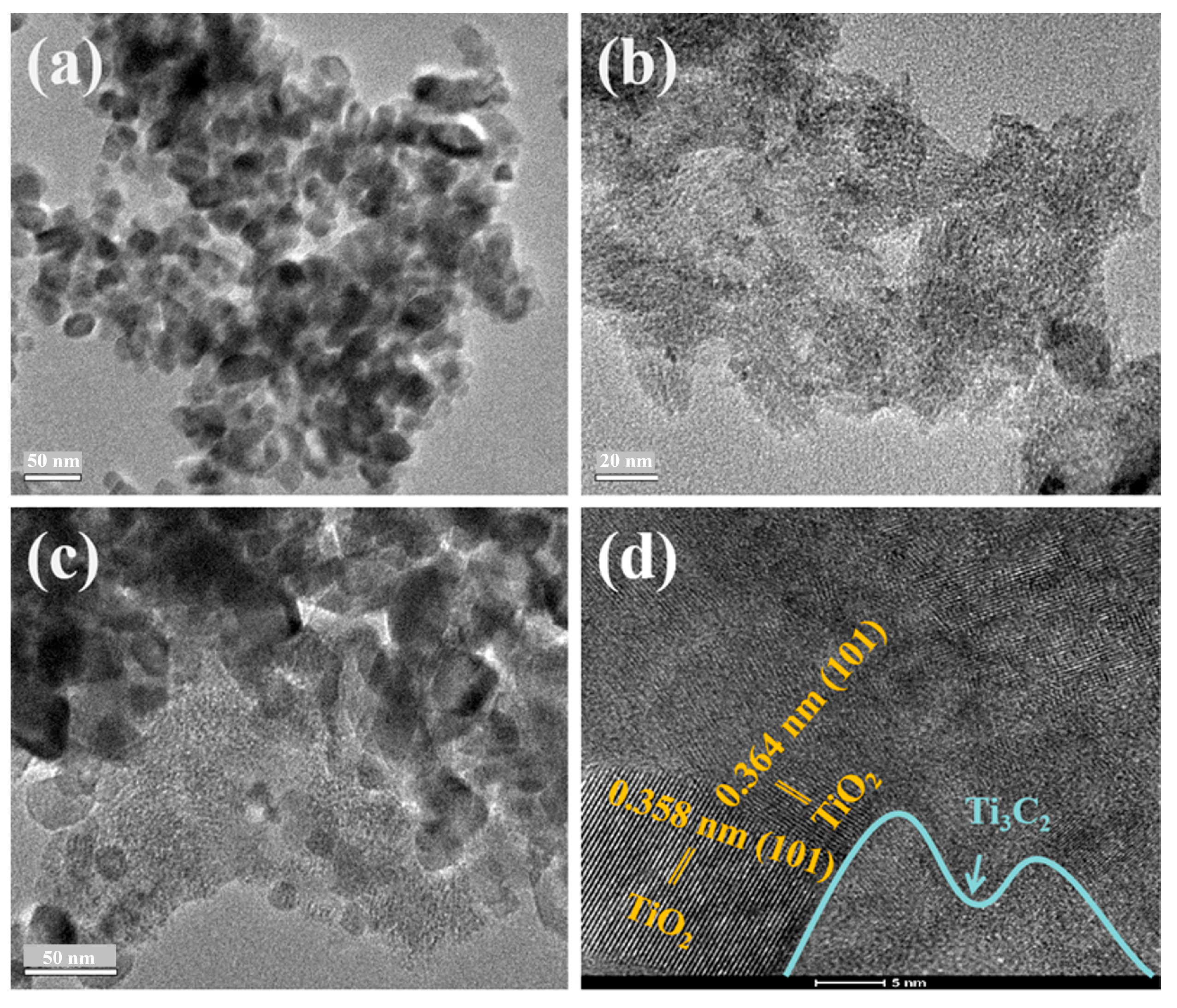 Catalysts 13 01487 g001