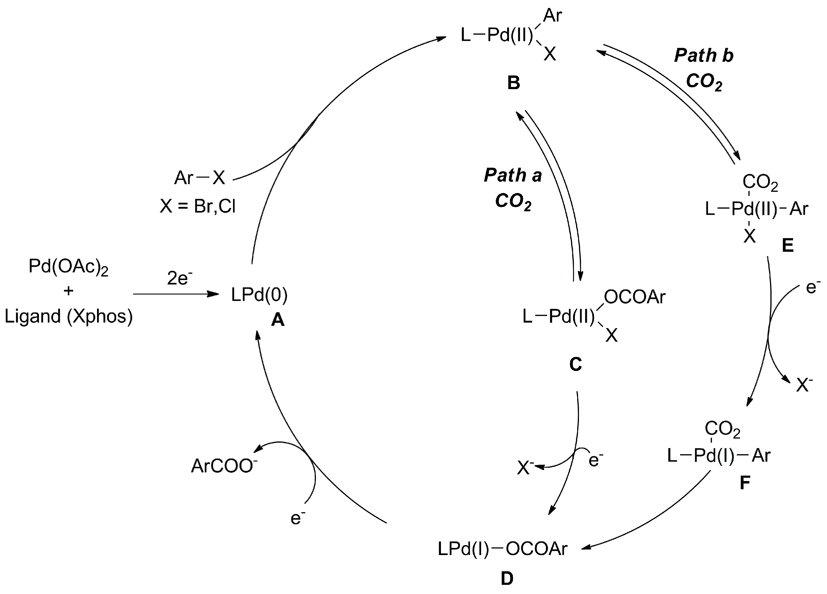 Catalysts 13 01489 sch014