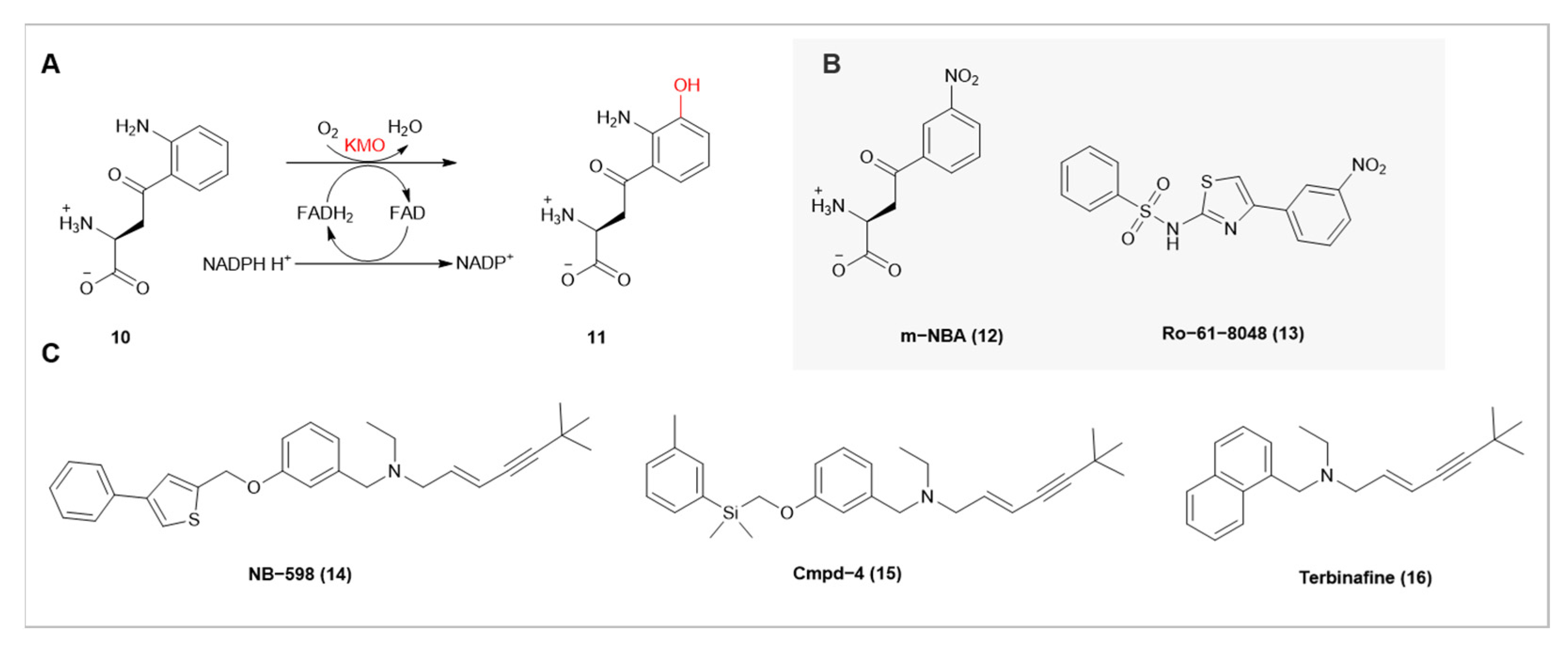 Catalysts 13 01495 g003
