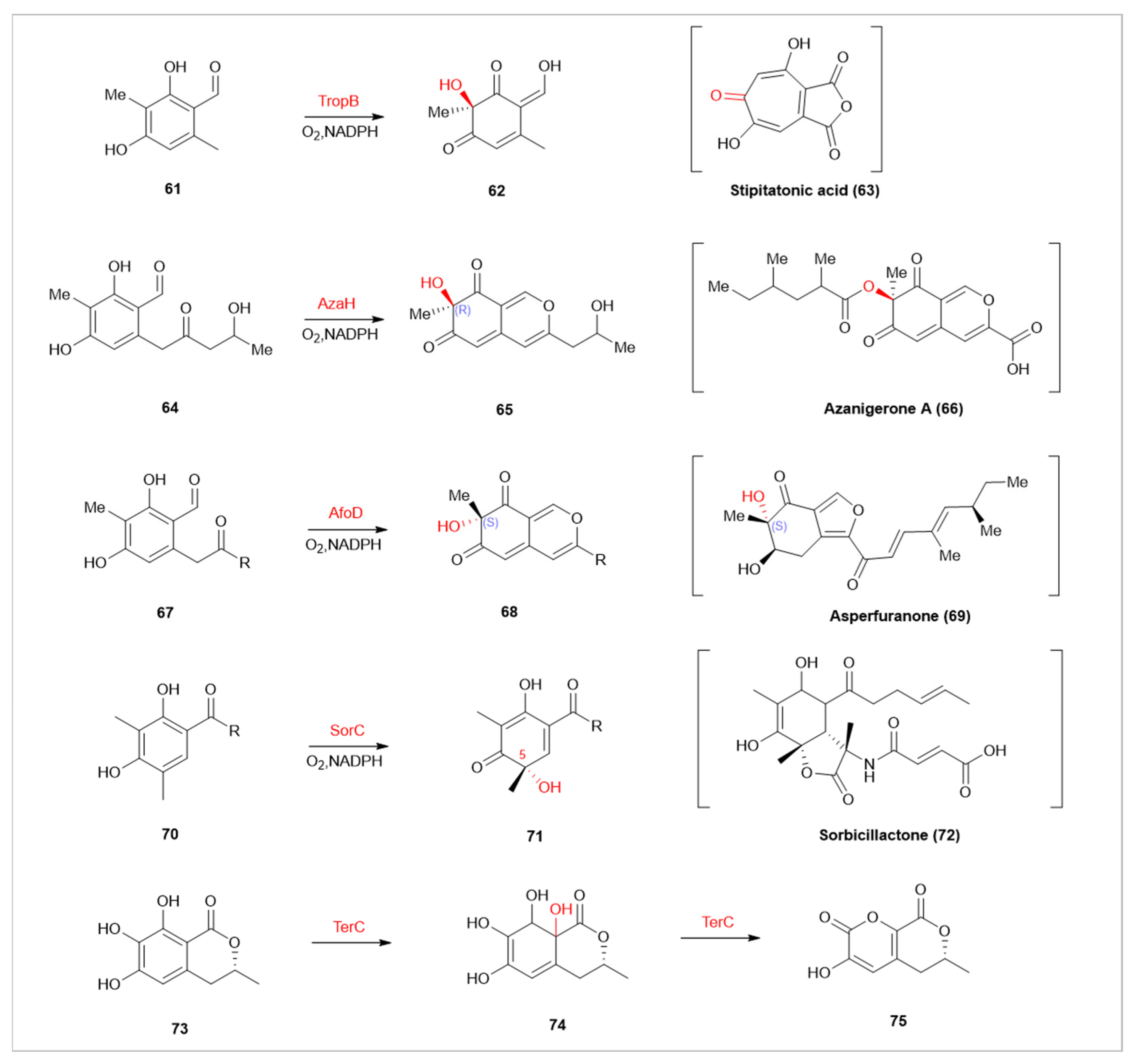 Catalysts 13 01495 g008
