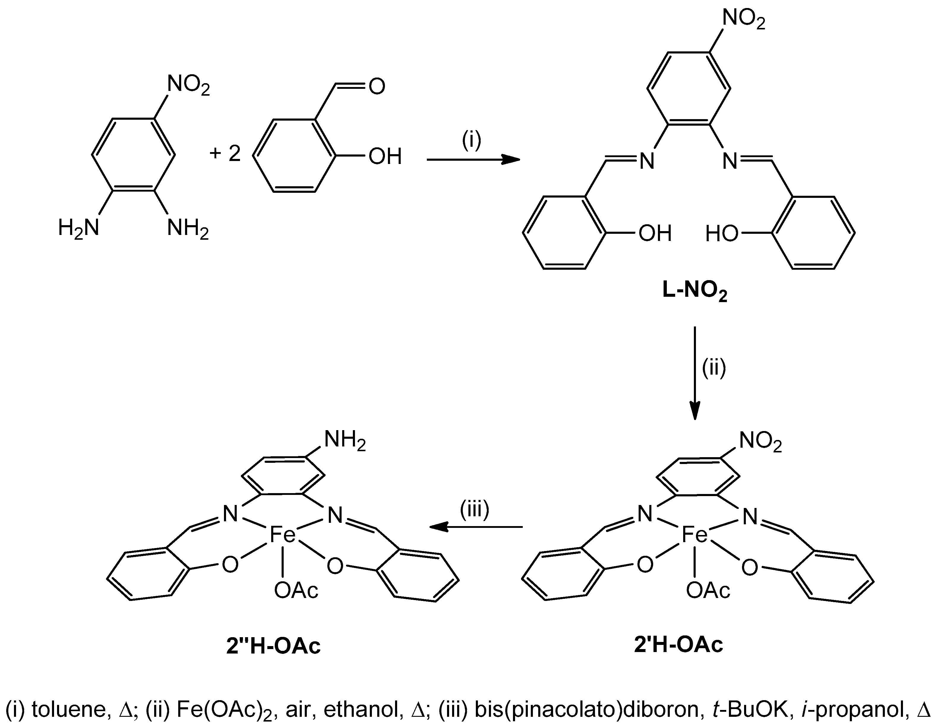 Catalysts 13 01496 sch003