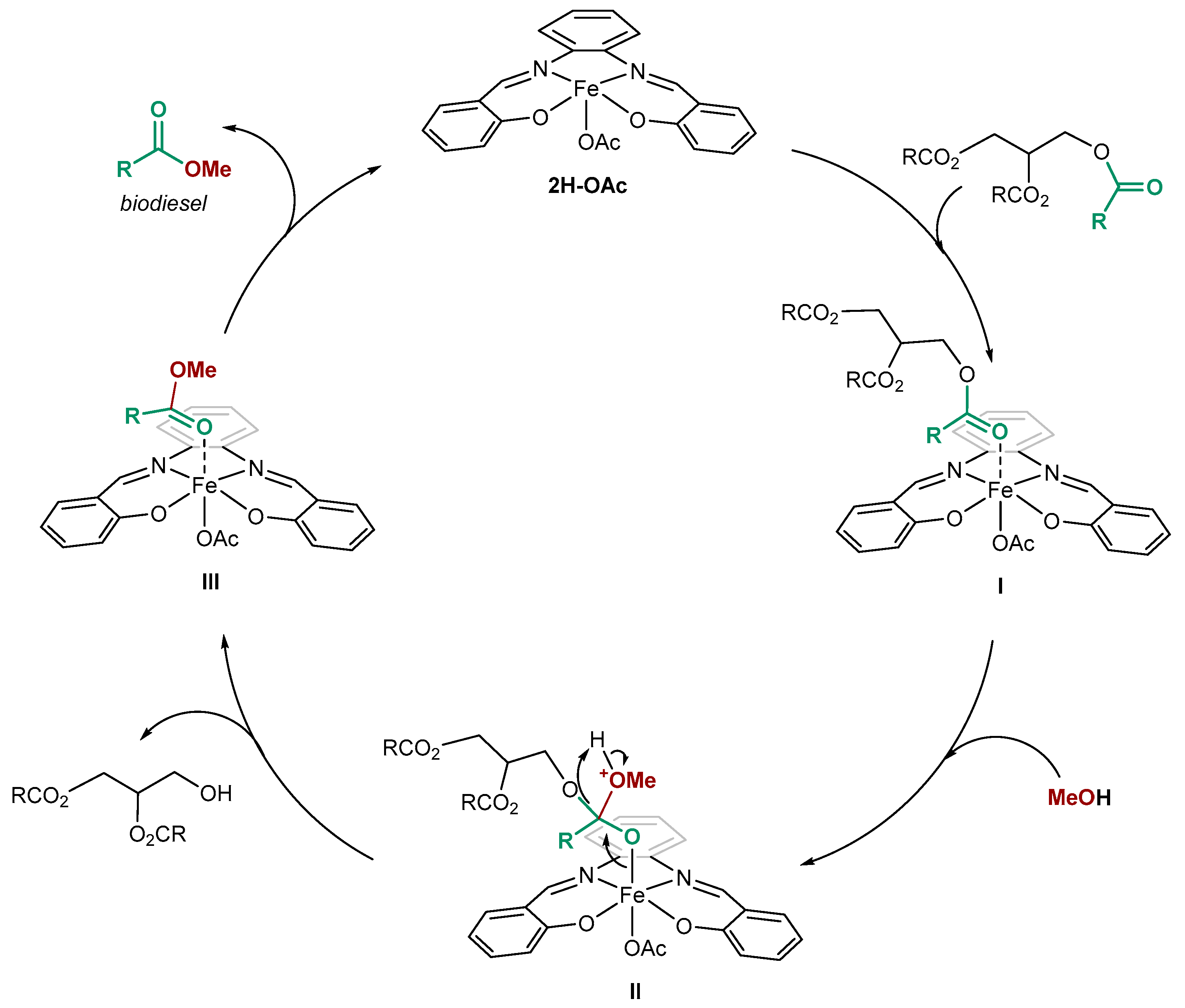 Catalysts 13 01496 sch004