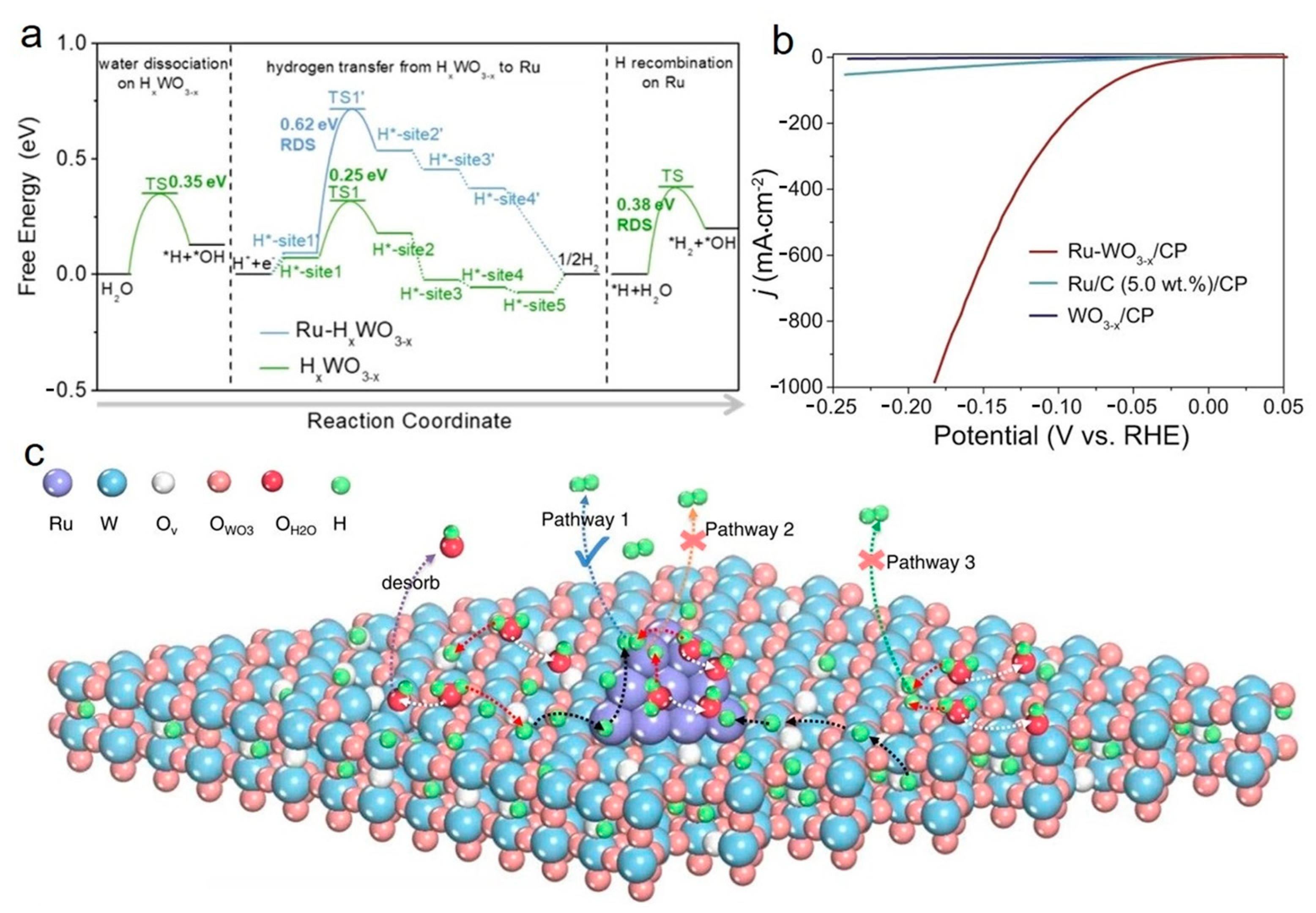 Catalysts 13 01497 g006