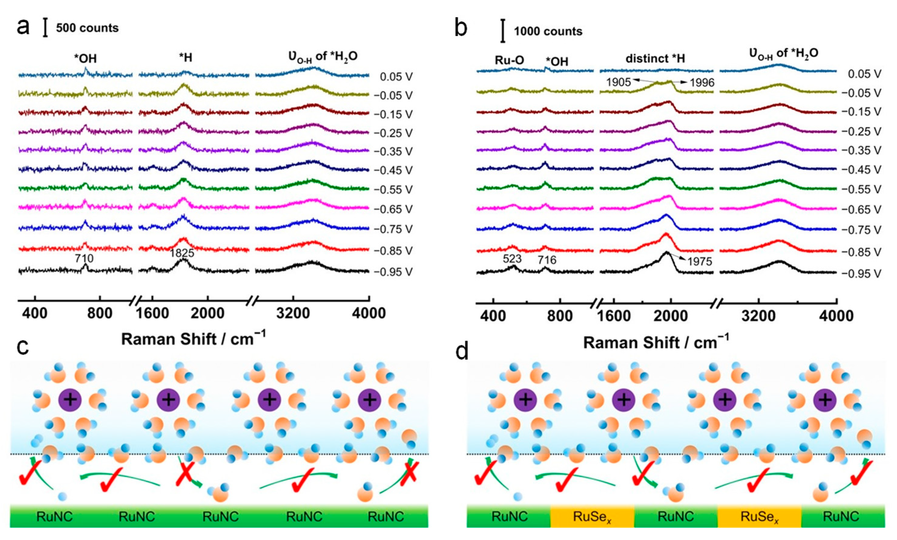 Catalysts 13 01497 g007