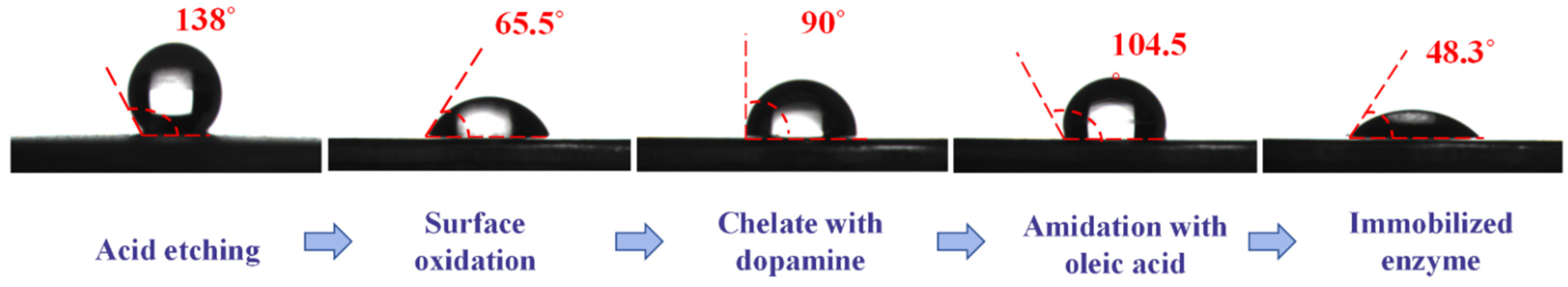 Catalysts 13 01501 g004
