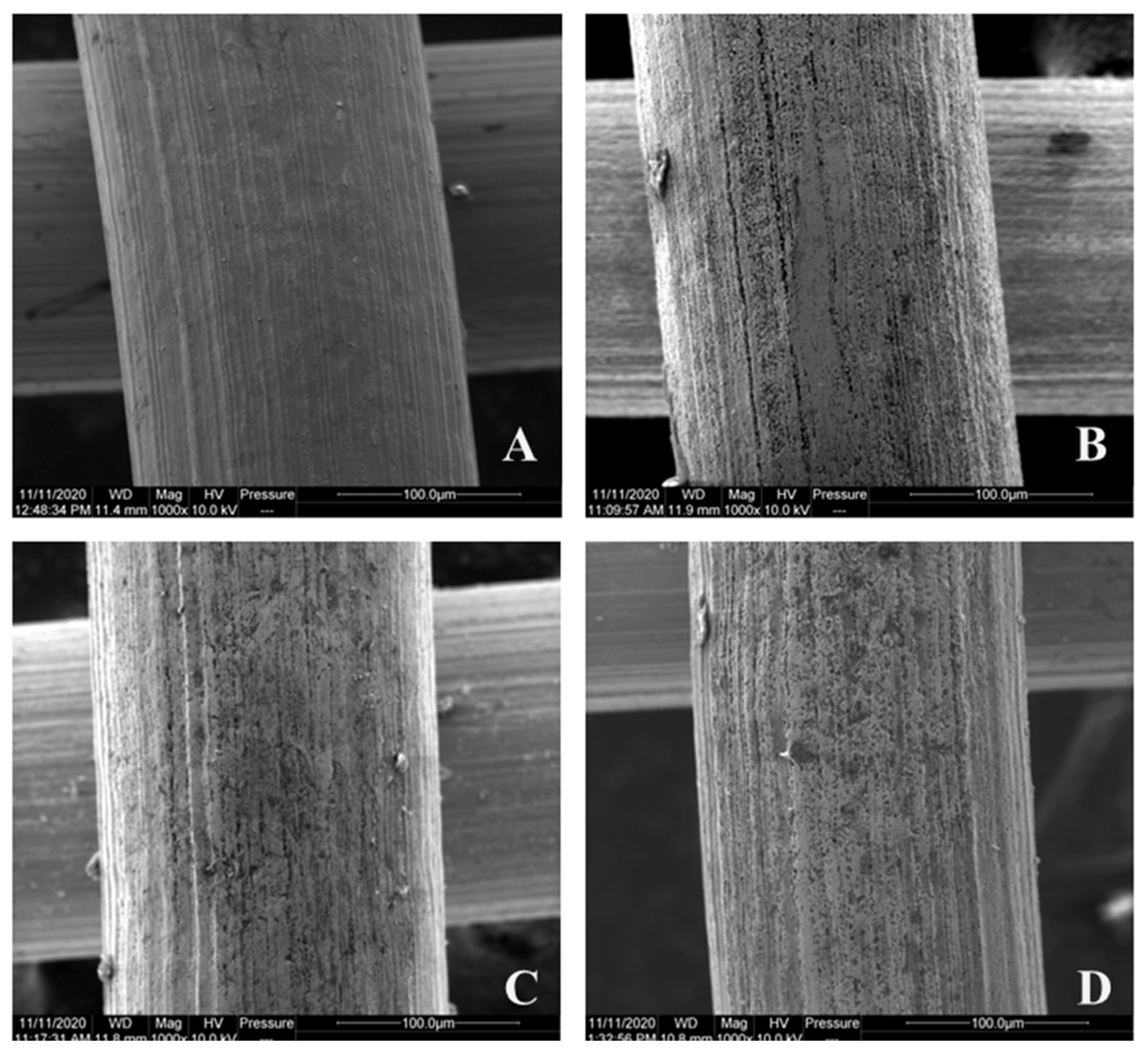 Catalysts 13 01501 g005