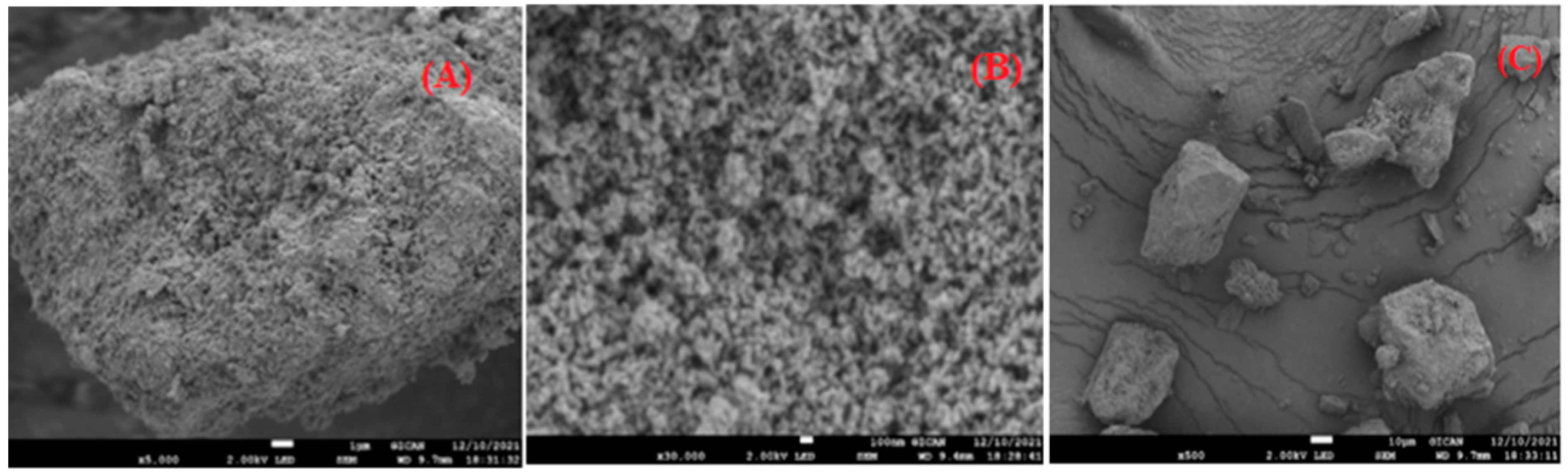 Catalysts 13 01506 g005