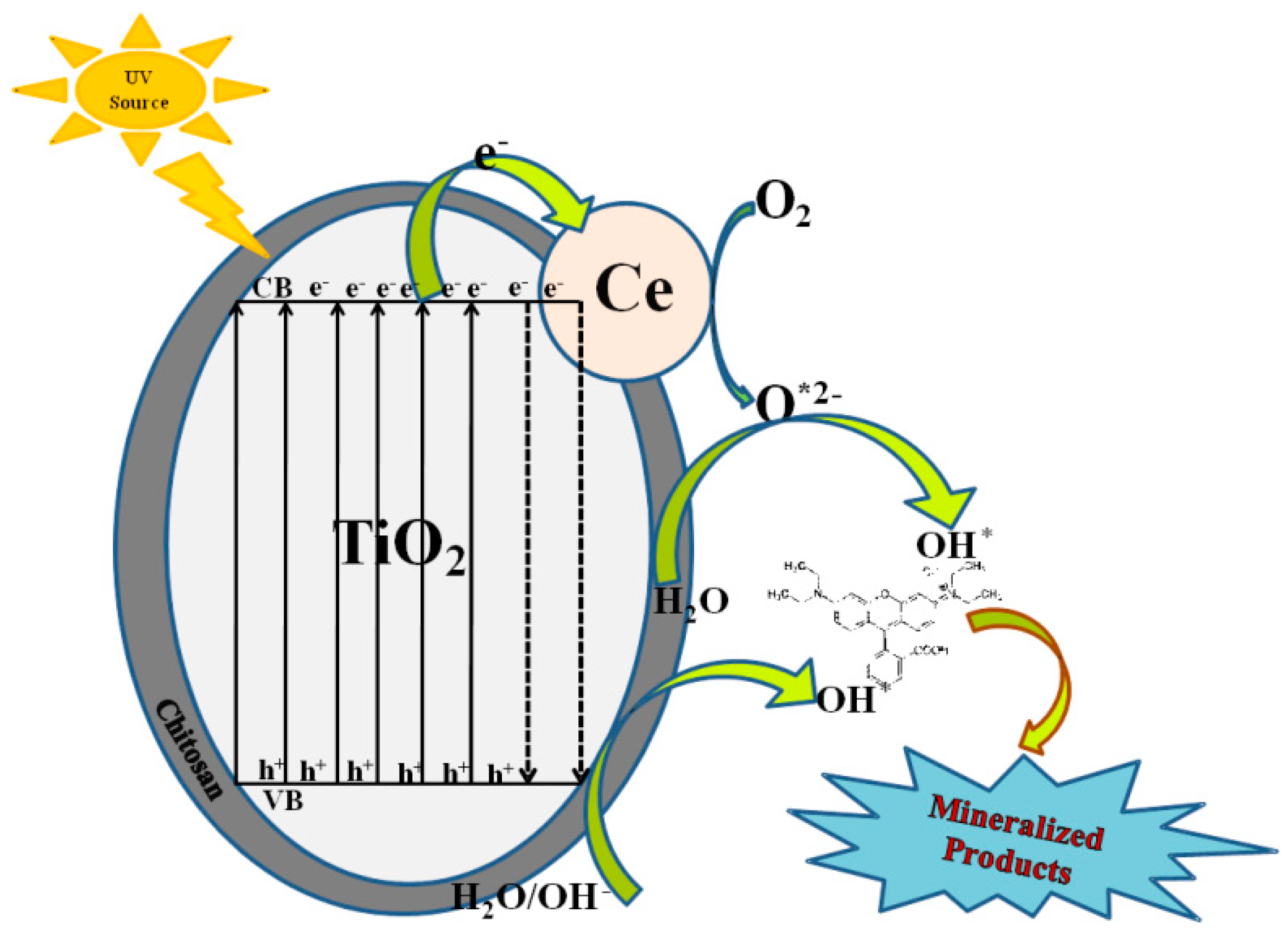 Catalysts 13 01506 g015