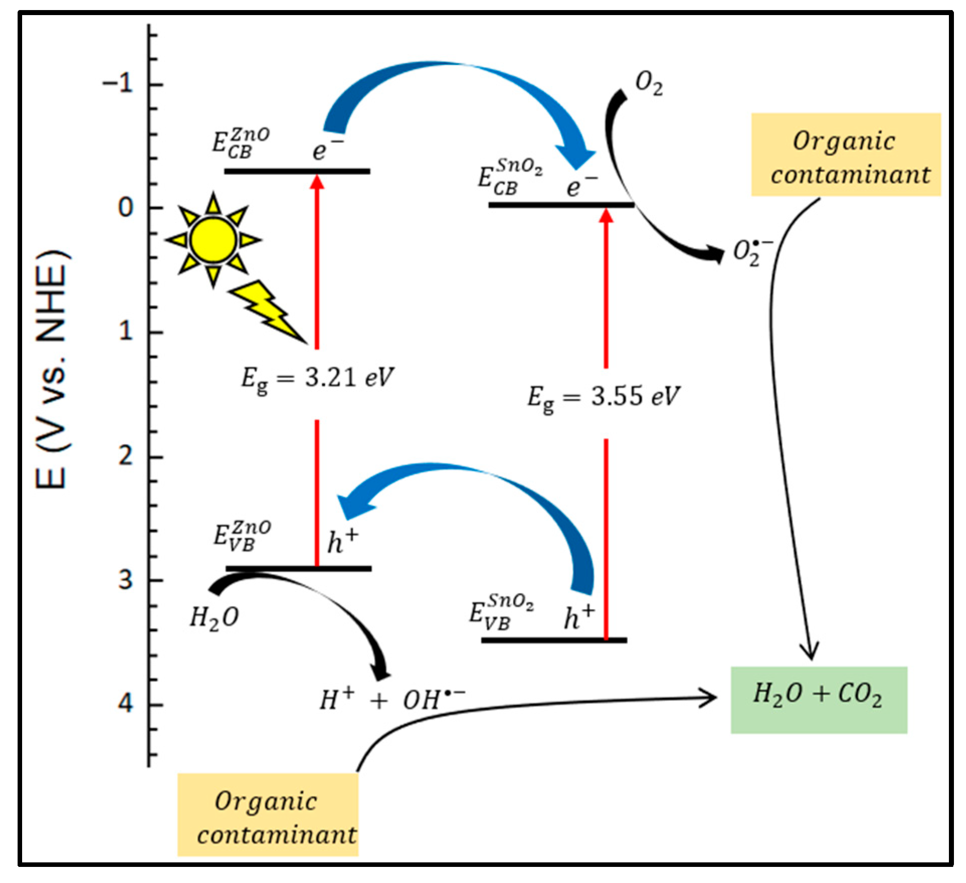 Catalysts 13 01509 g011