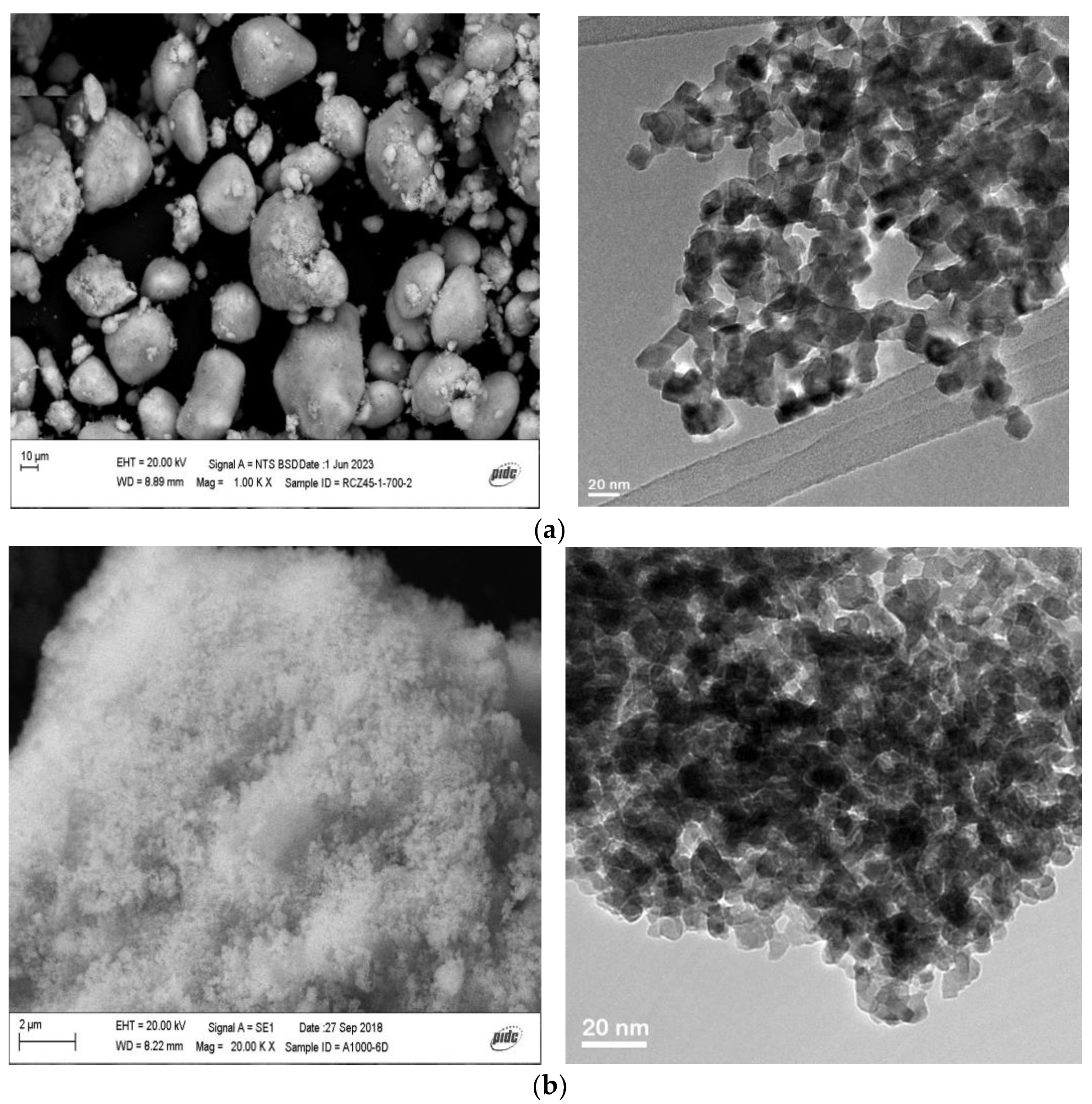 Catalysts 13 01511 g002