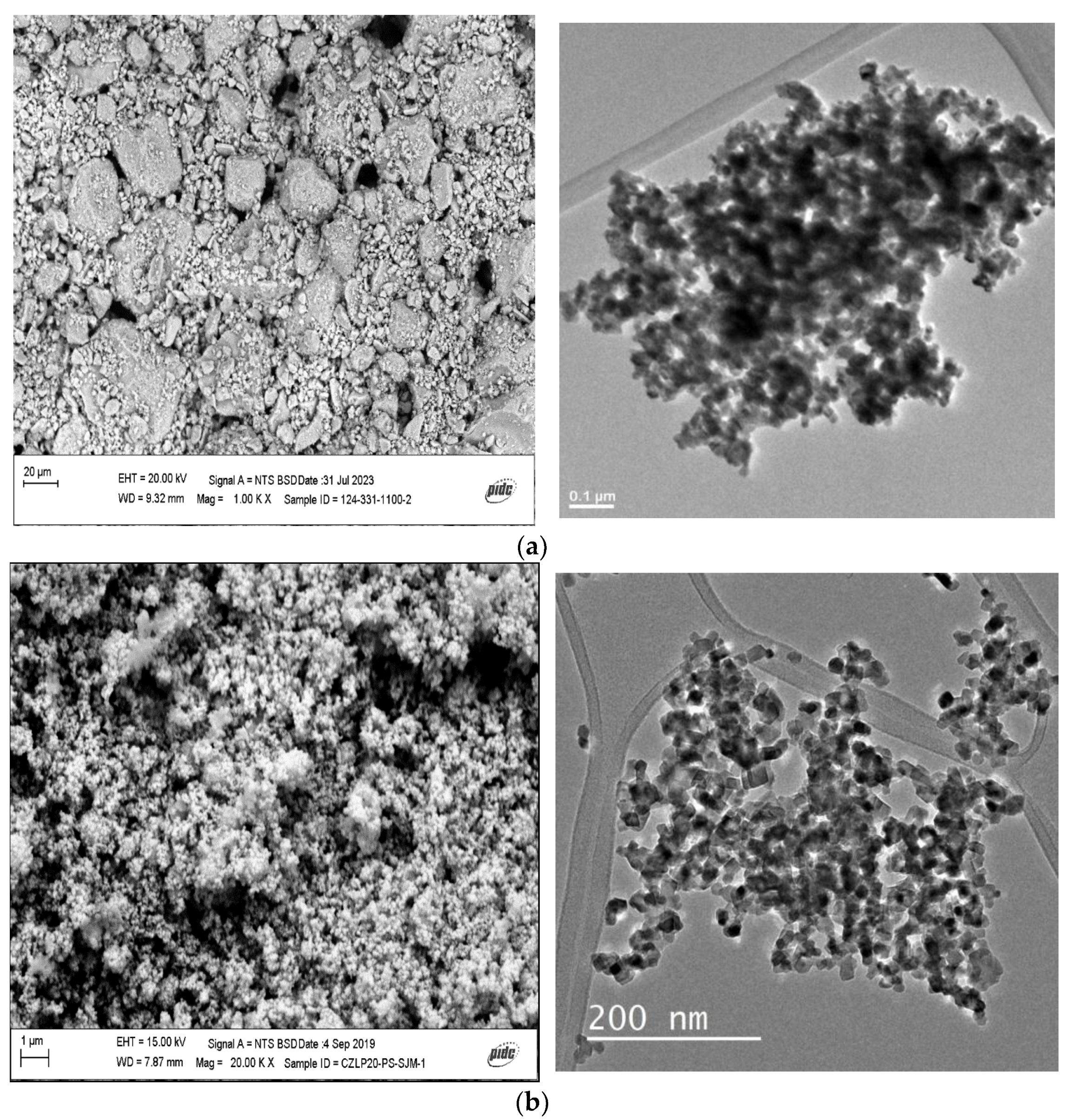 Catalysts 13 01511 g008