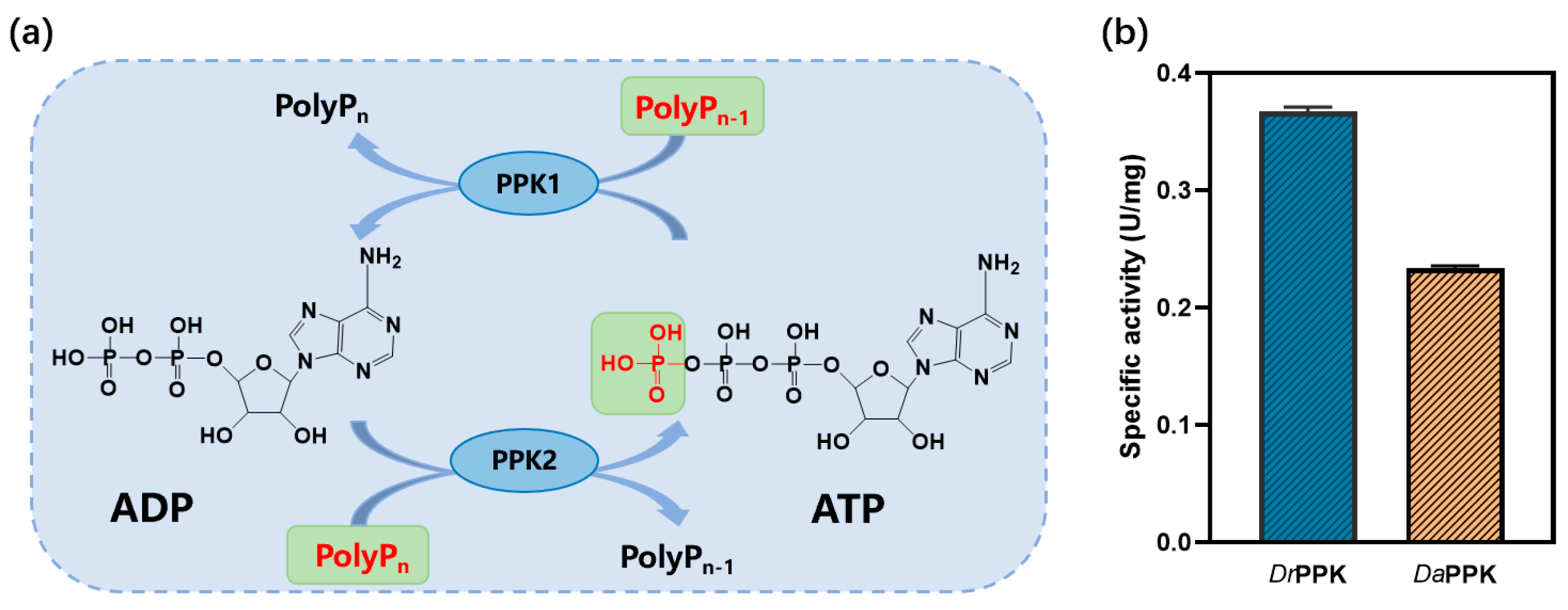Catalysts 13 01515 g004