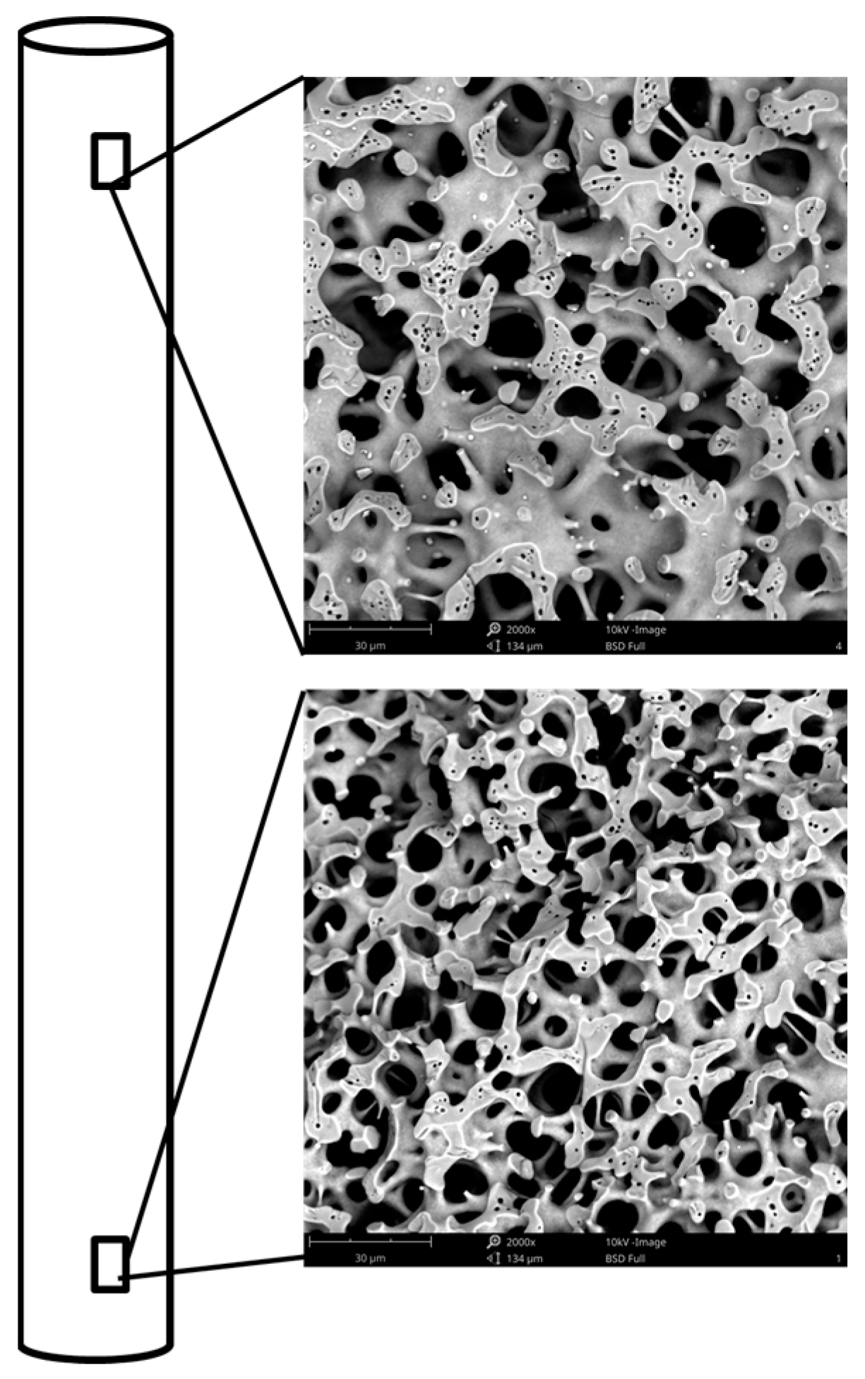 Catalysts 13 01516 g001 Catalysts 13 01516 g001
