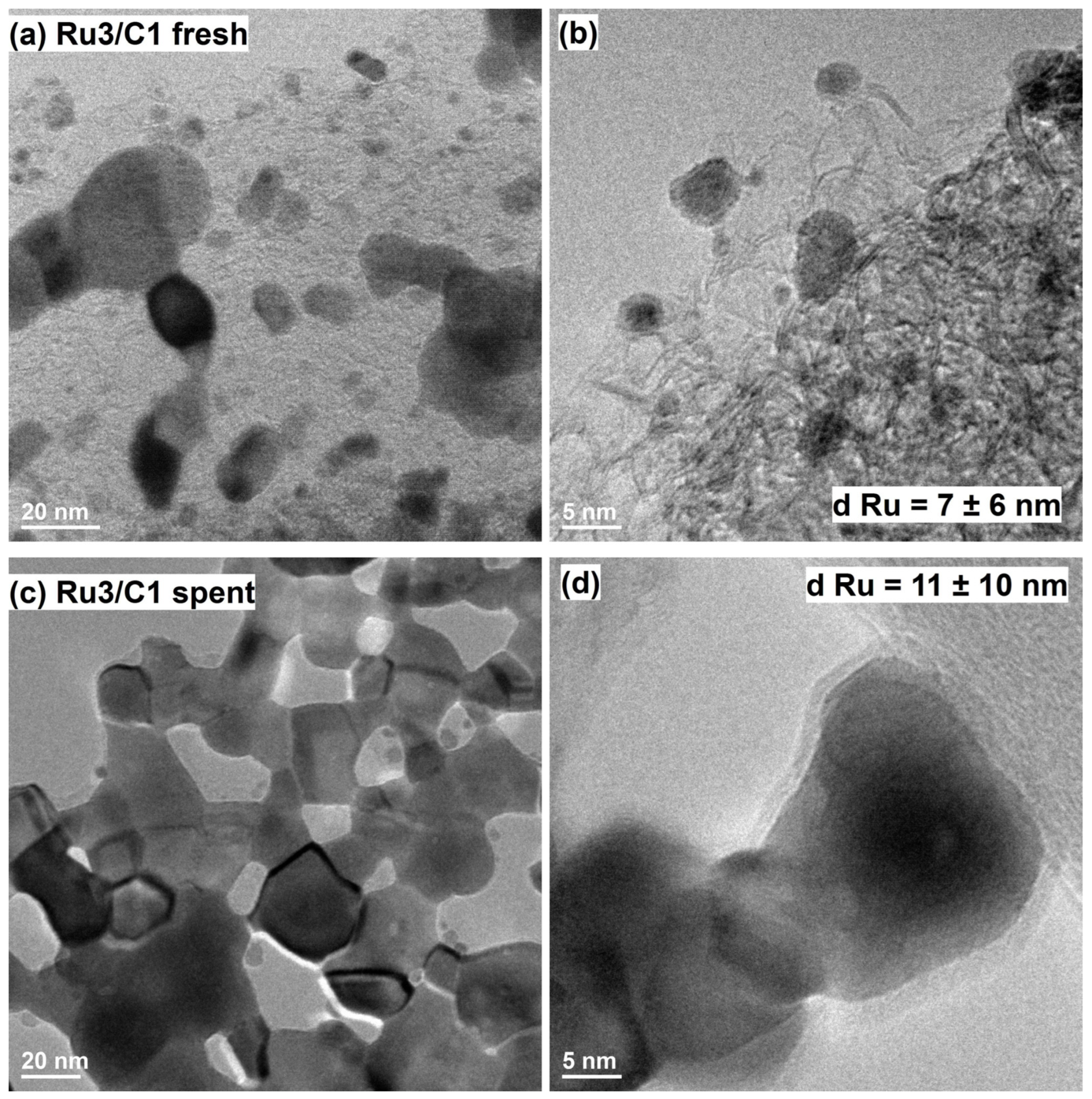 Catalysts 13 01518 g003