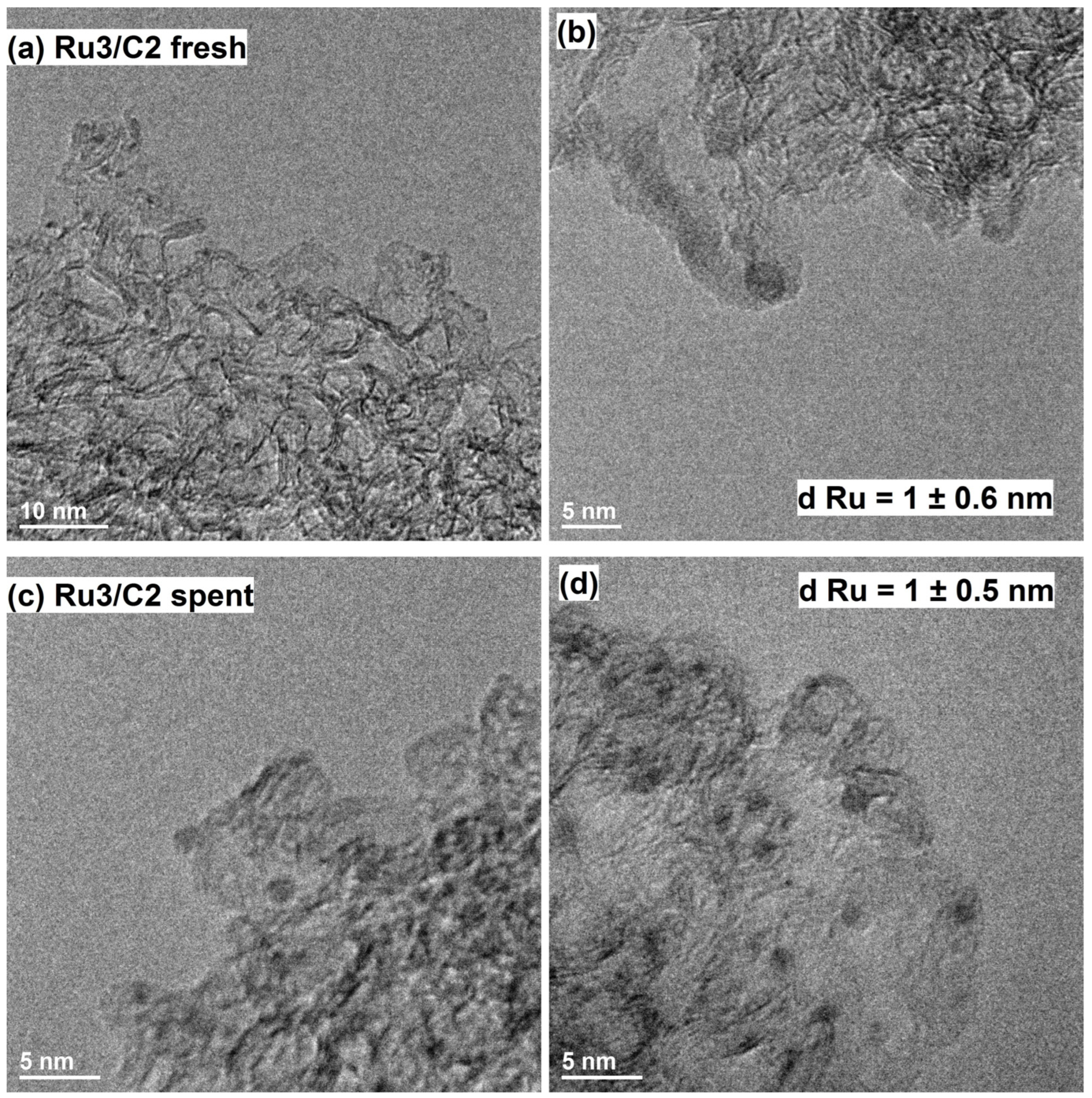 Catalysts 13 01518 g005