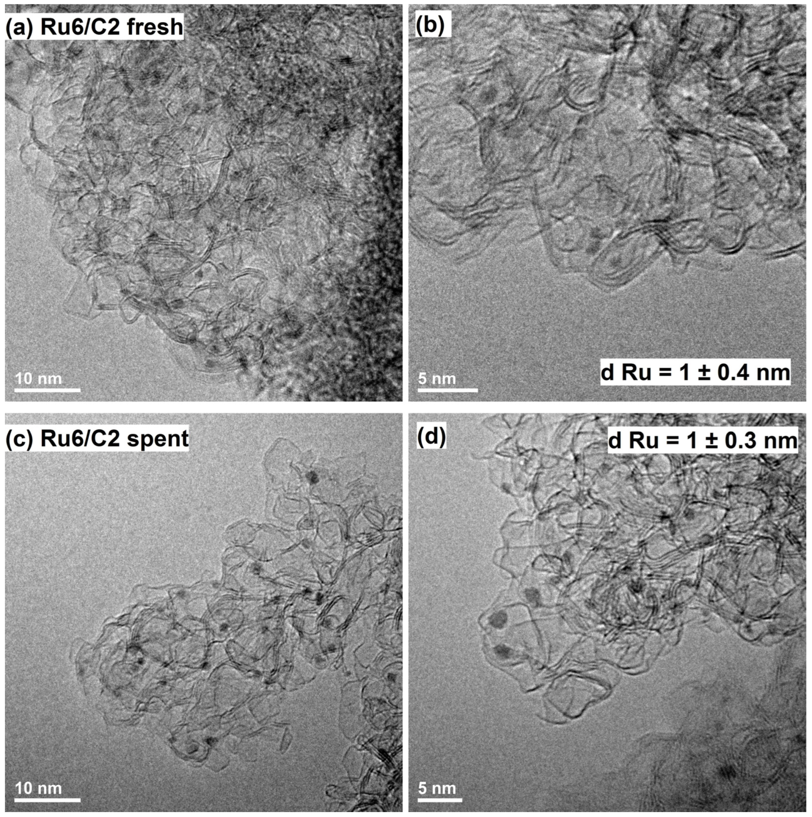 Catalysts 13 01518 g006