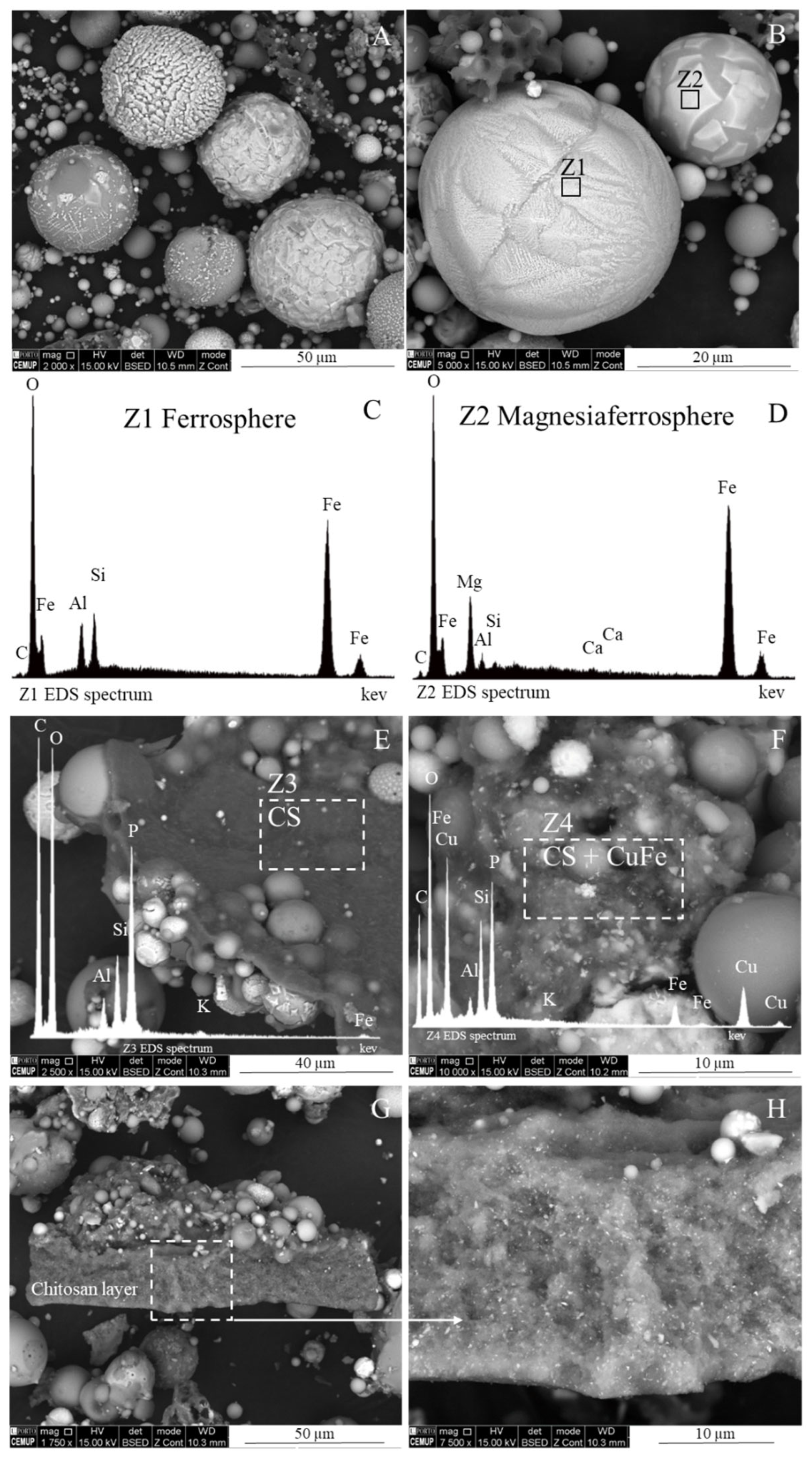 Catalysts 14 00003 g003