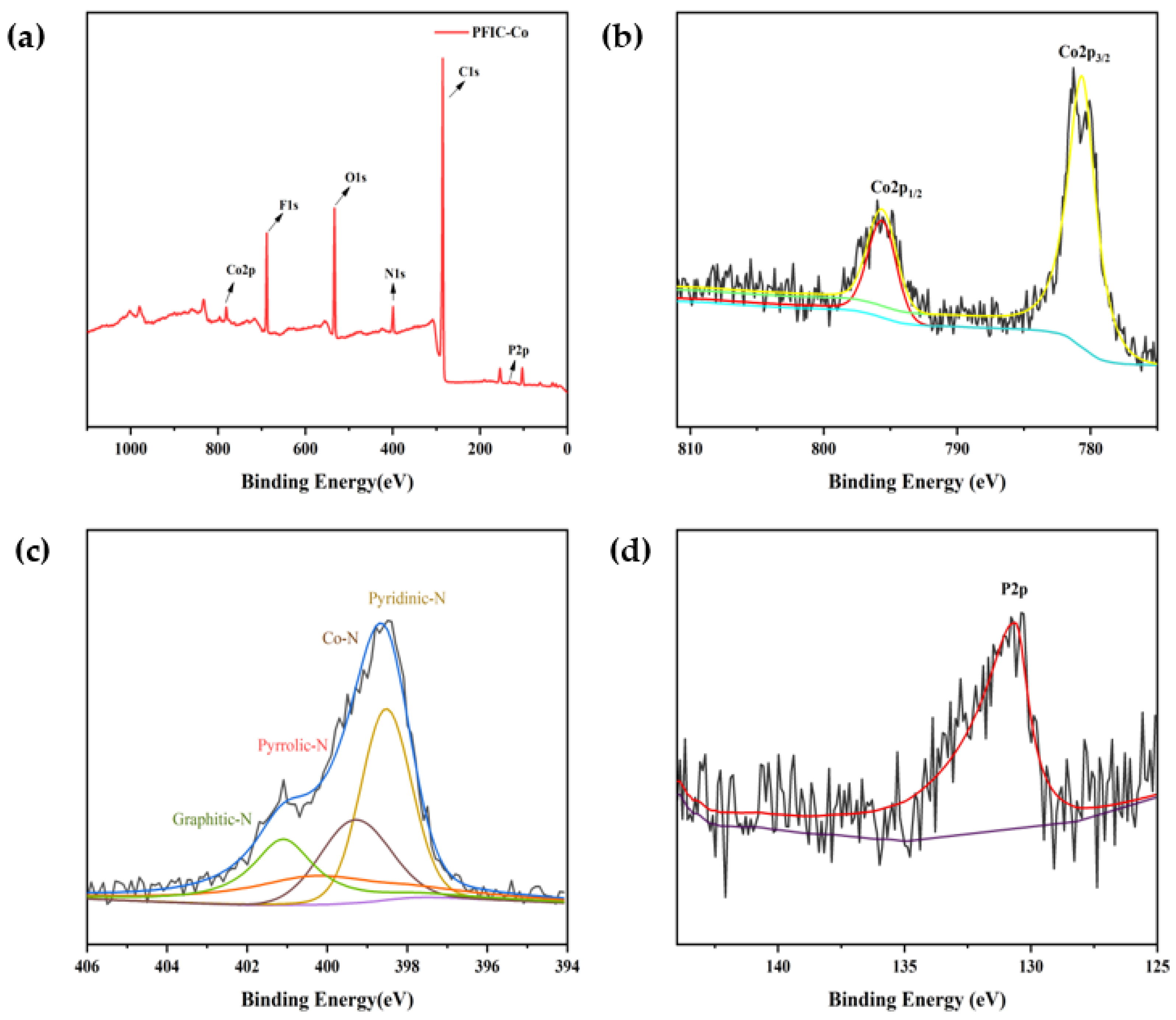 Catalysts 14 00005 g002