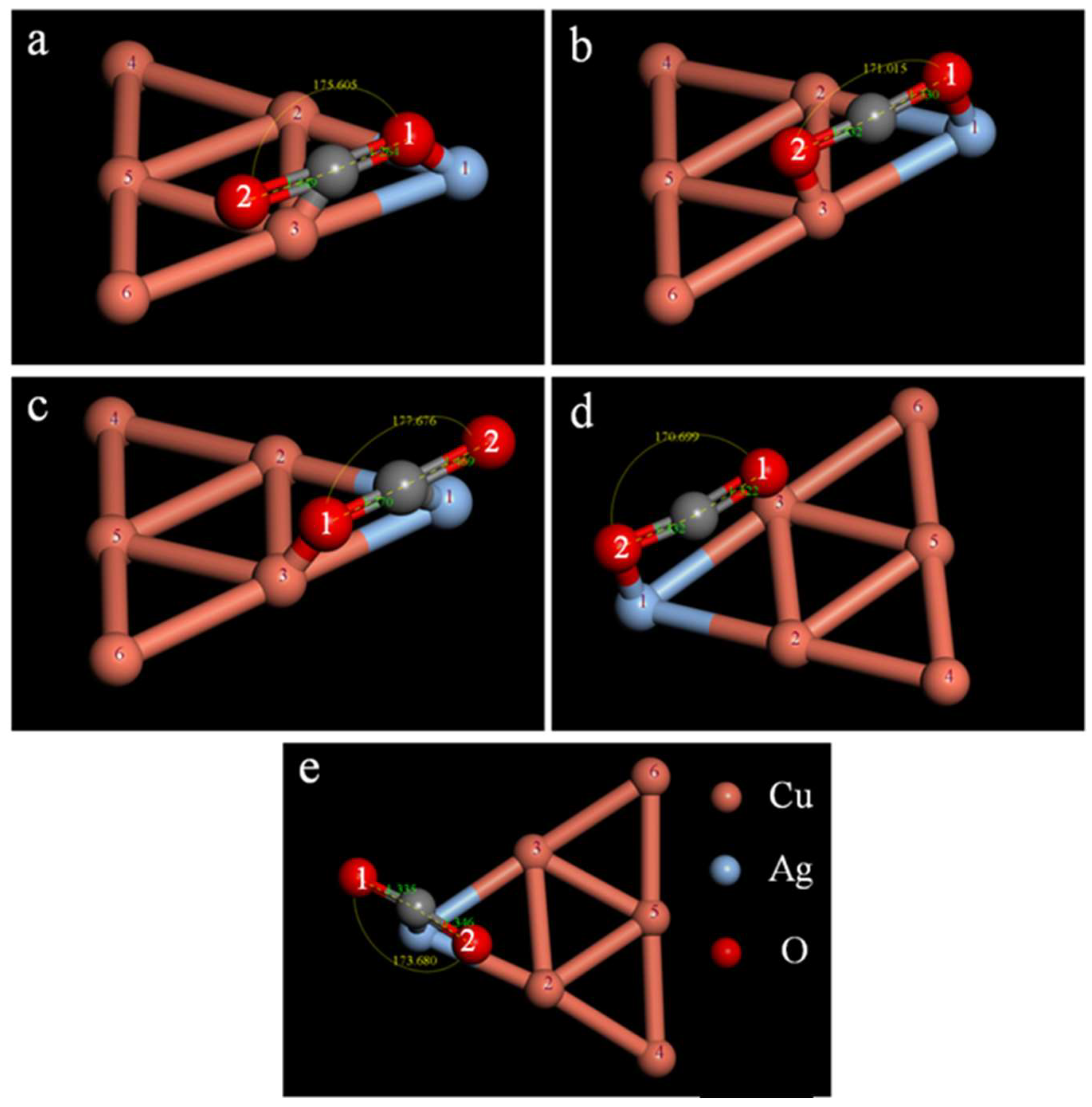 Catalysts 14 00007 g006
