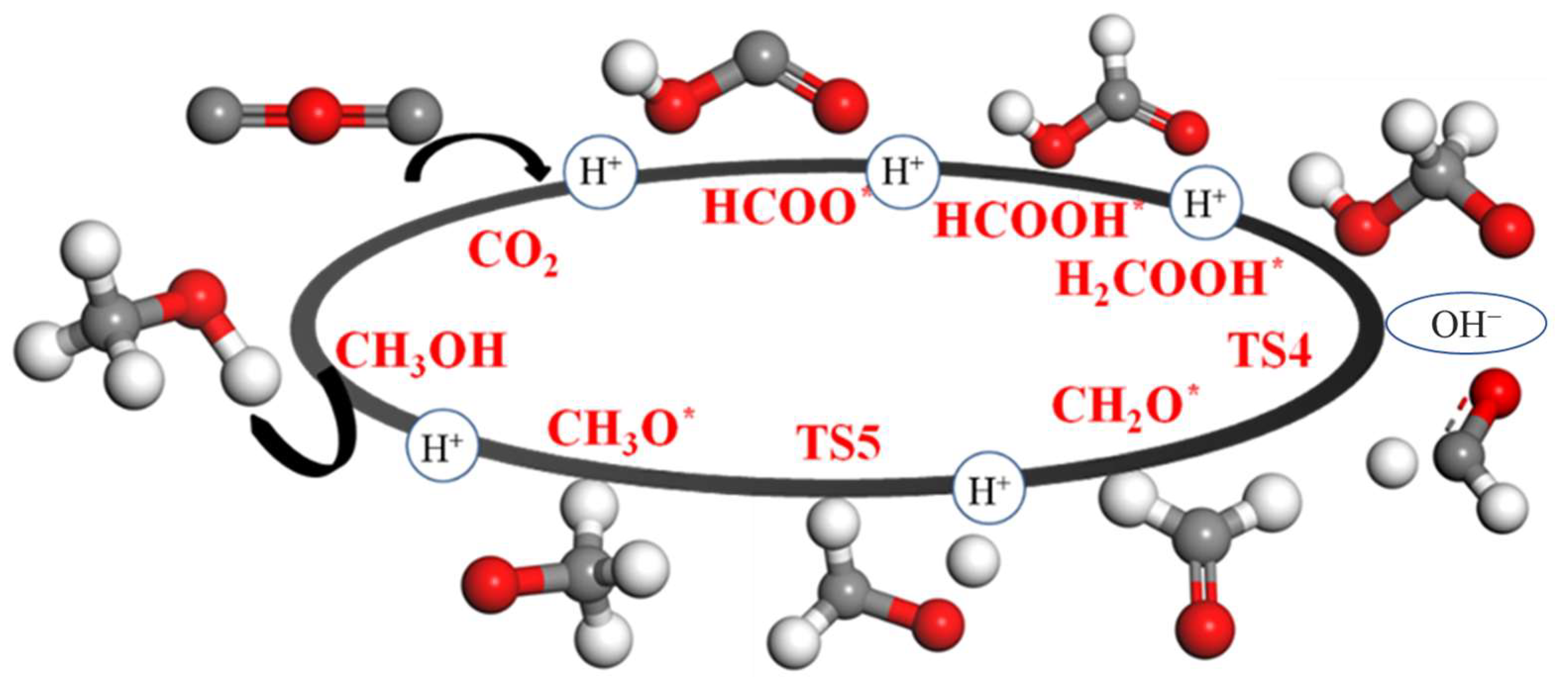 Catalysts 14 00007 g009