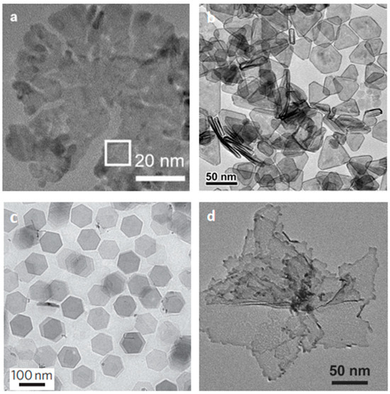 清水 An integrated network pharmacology approach reveals that