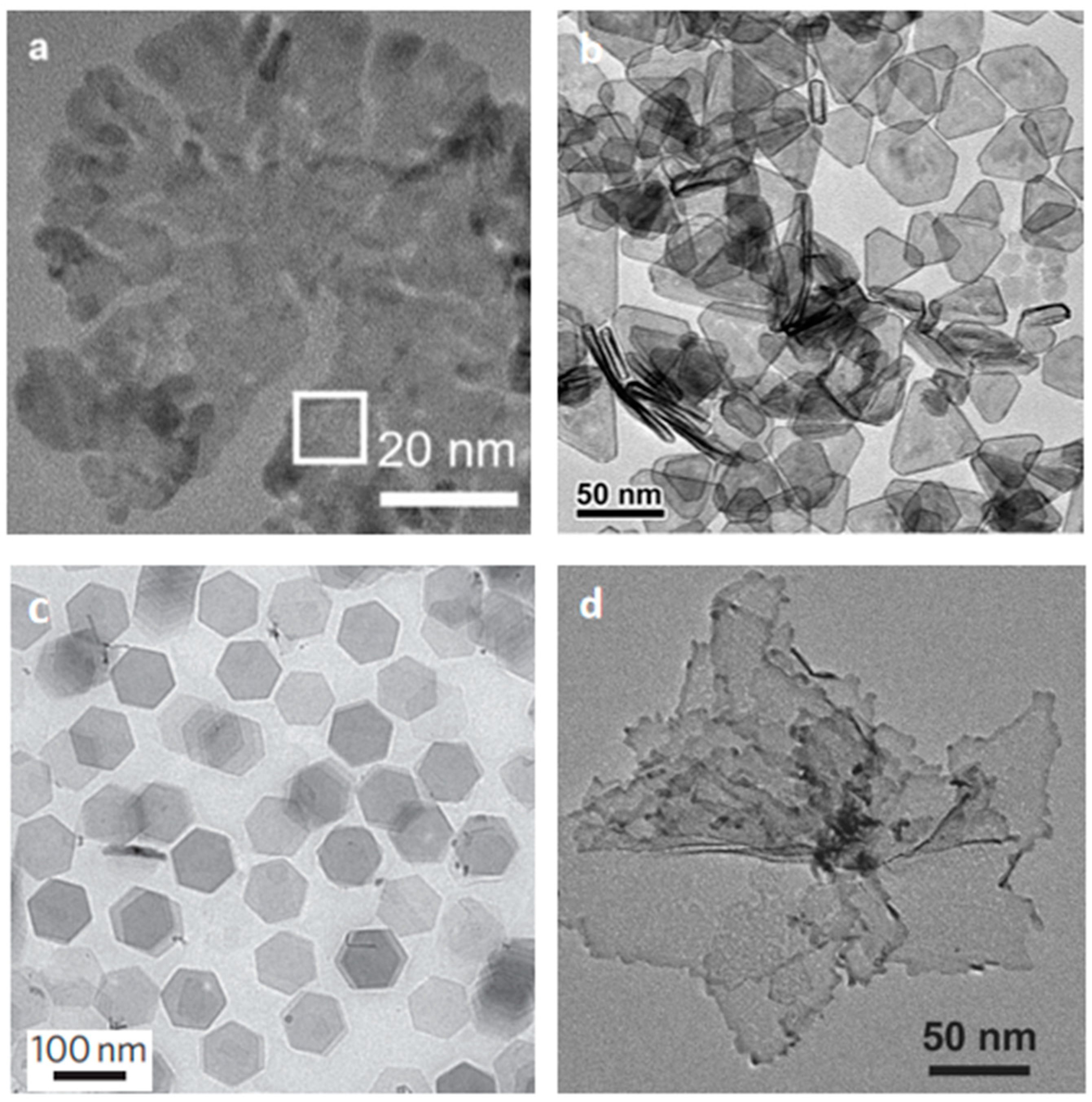 Catalysts 14 00009 g003