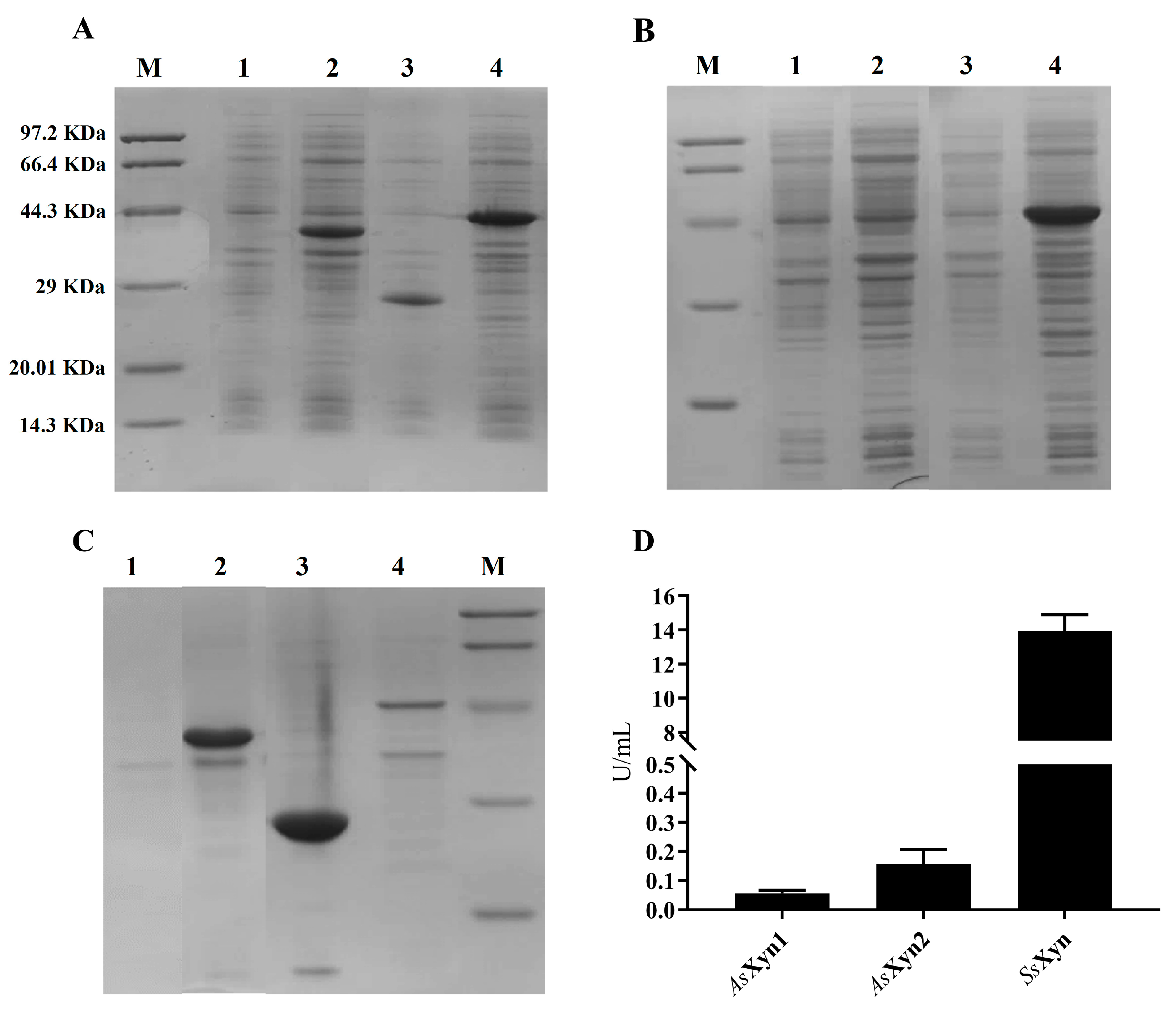 Catalysts 14 00015 g003