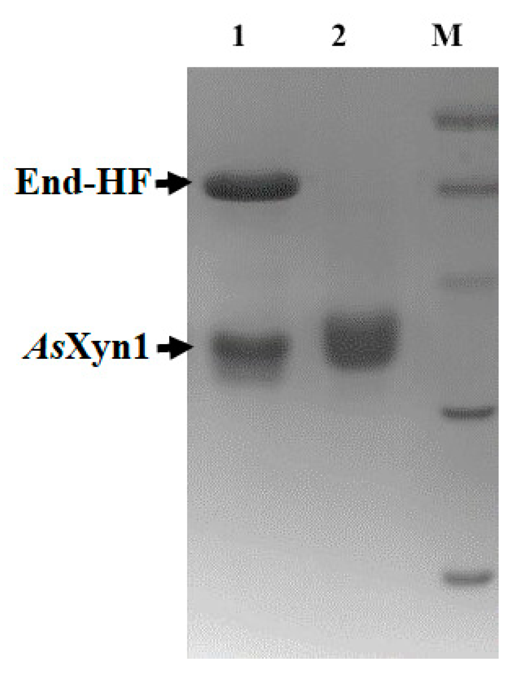 Catalysts 14 00015 g007
