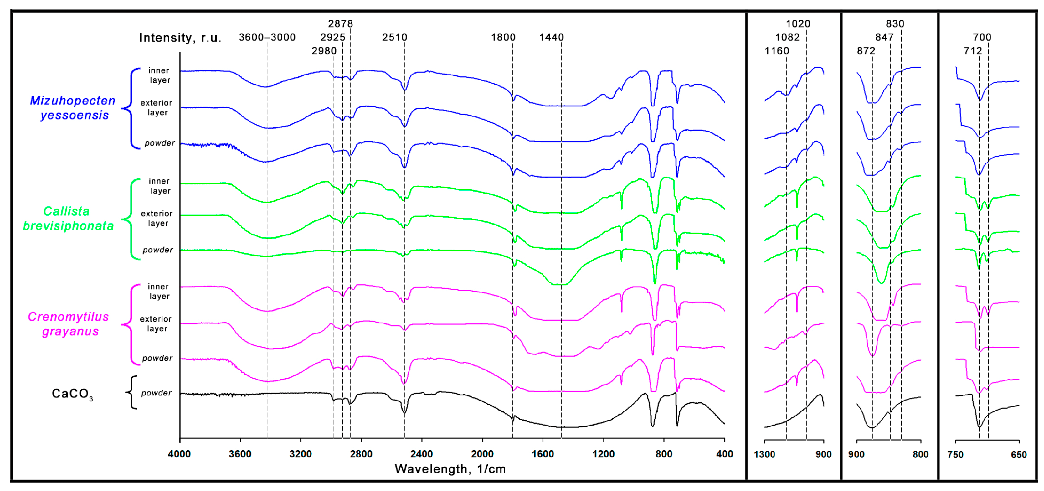 Catalysts 14 00016 g004 Catalysts 14 00016 g004