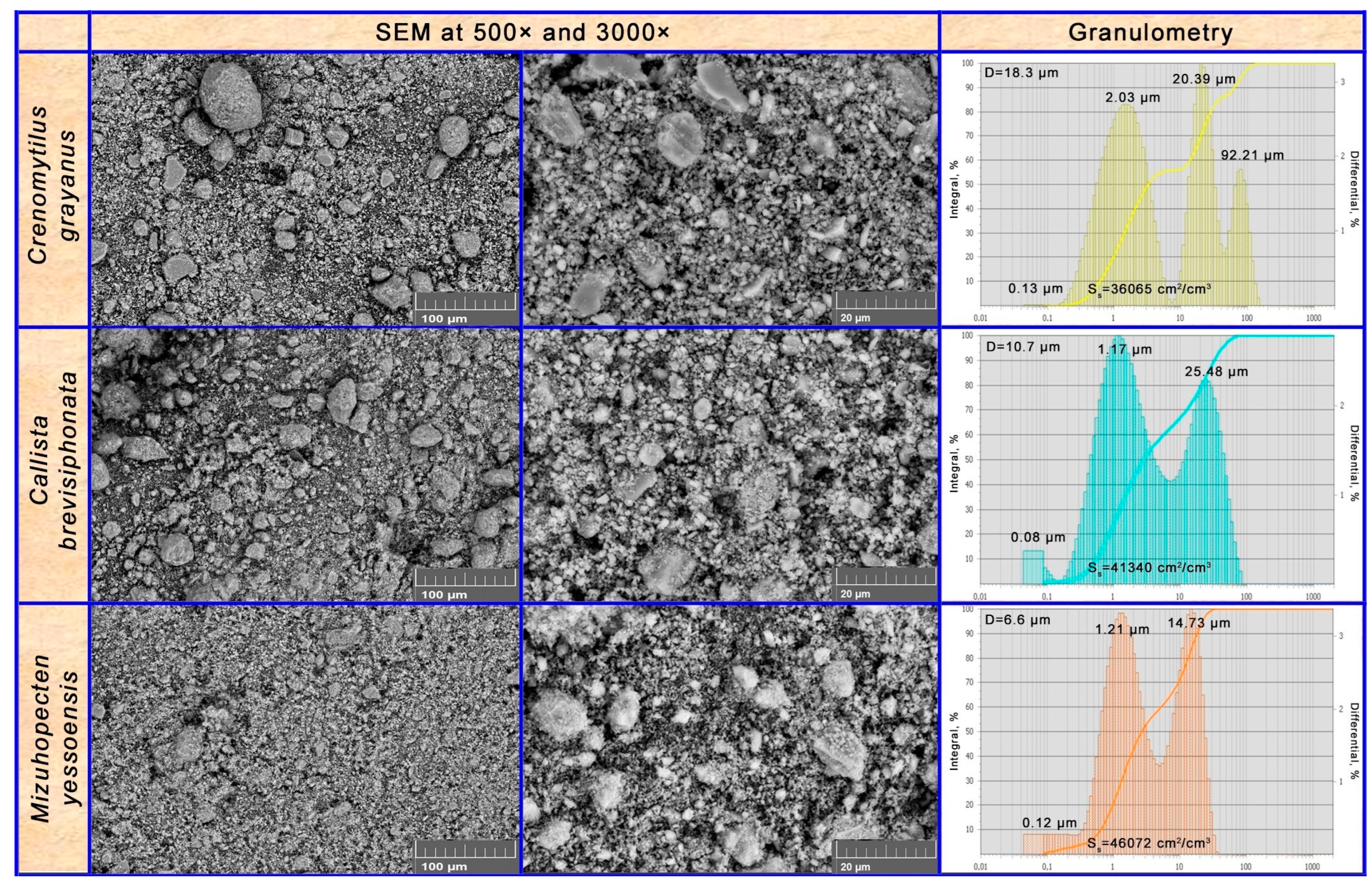 Catalysts 14 00016 g005 Catalysts 14 00016 g005