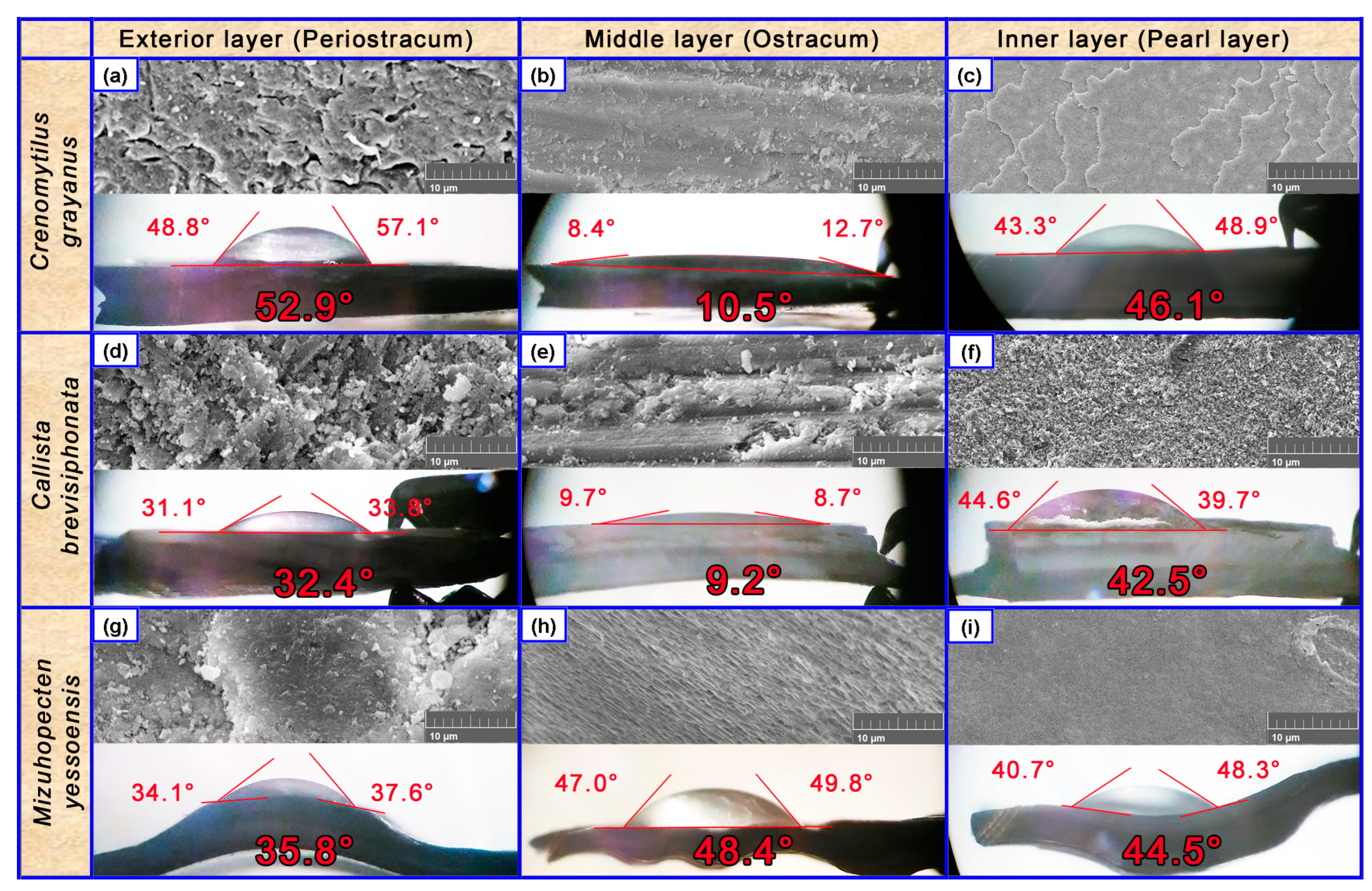 Catalysts 14 00016 g007 Catalysts 14 00016 g007